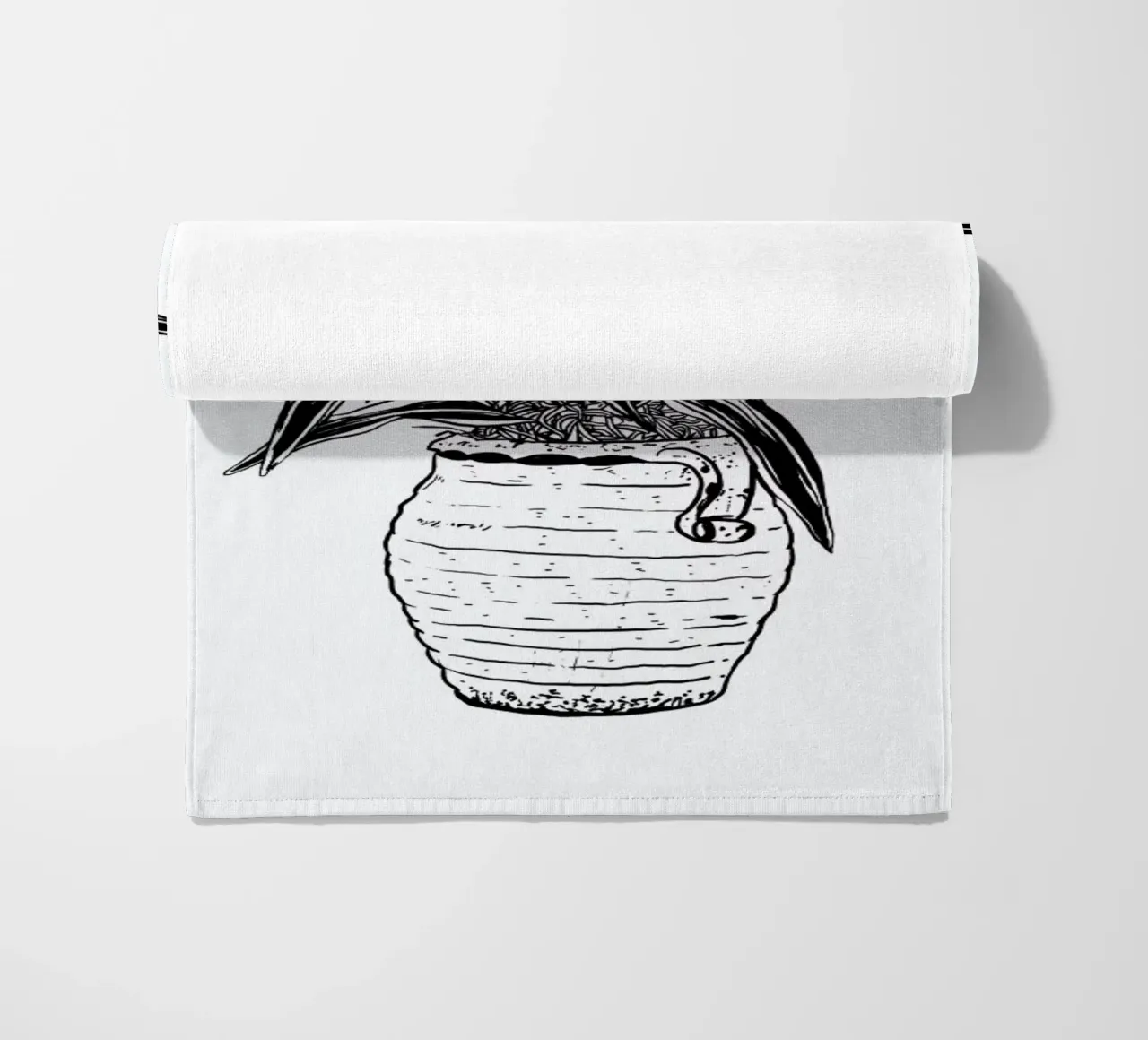 Dracaena telo mare da Nick Cocozza