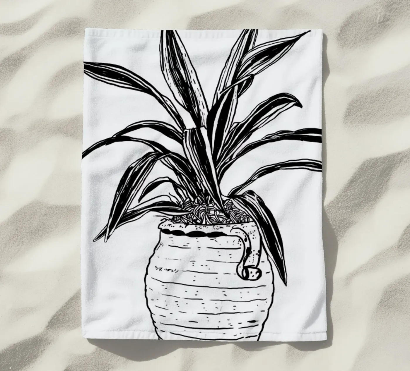 Dracaena telo mare da Nick Cocozza