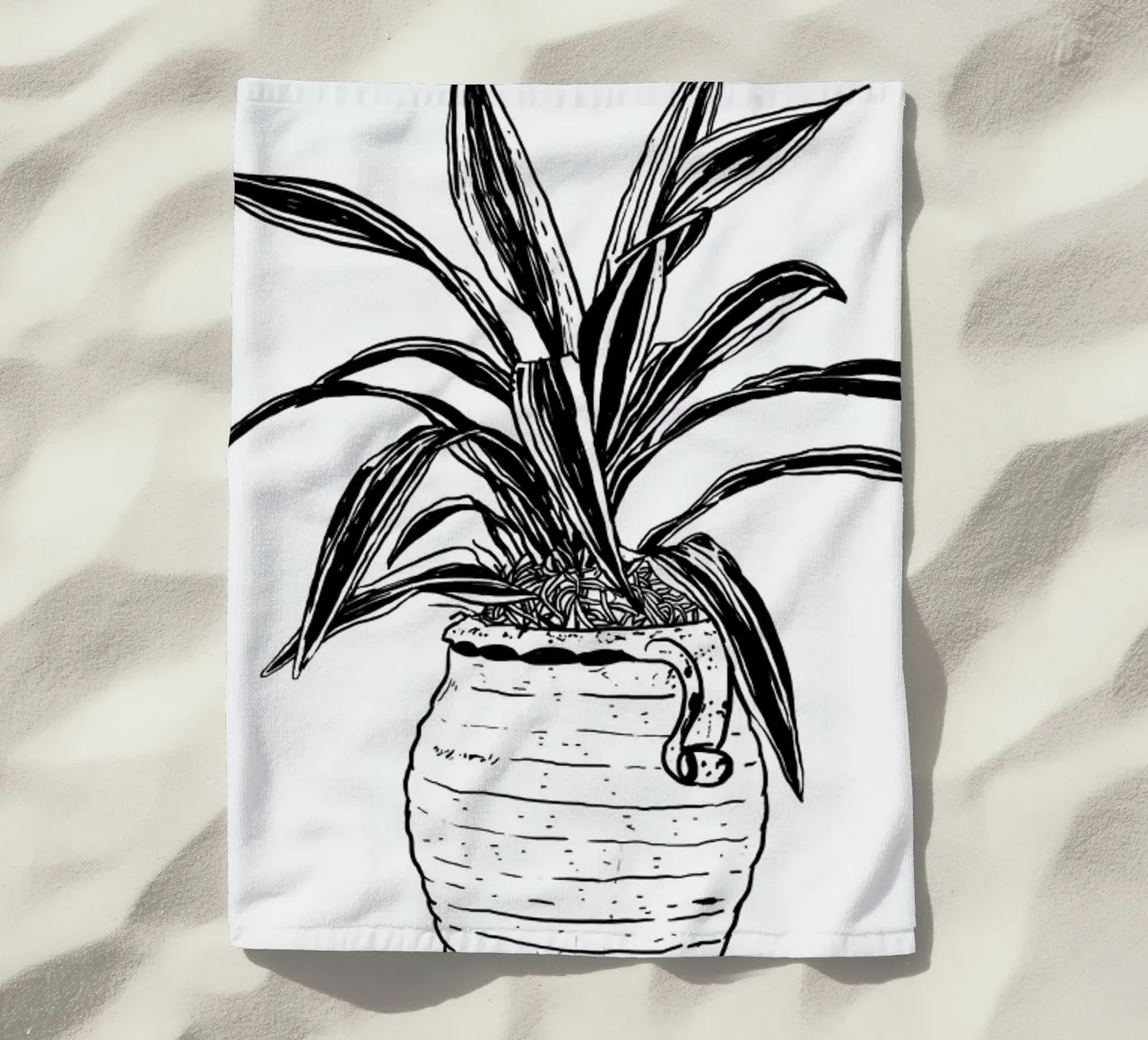 Dracaena telo mare da Nick Cocozza