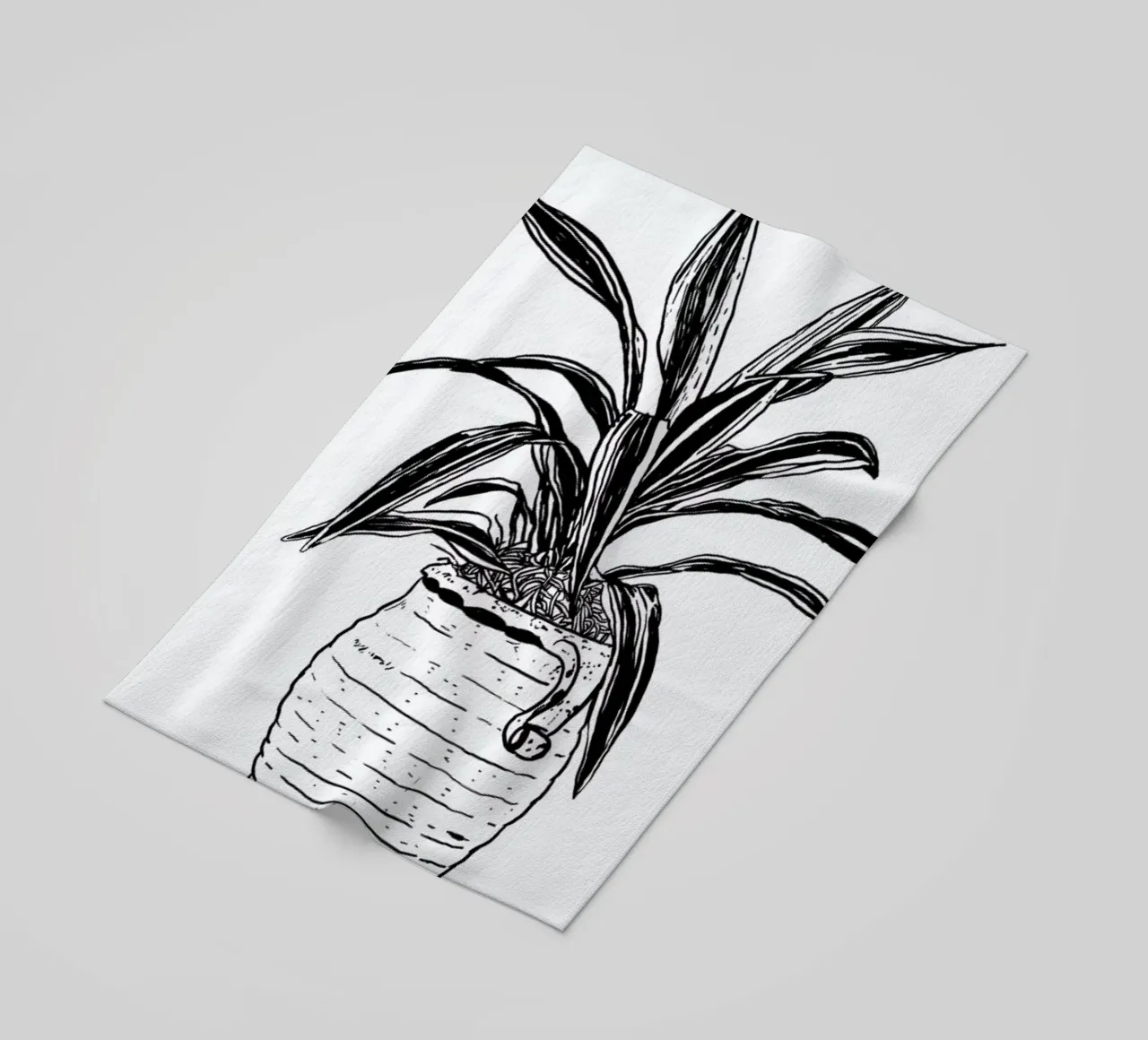 Dracaena telo mare da Nick Cocozza