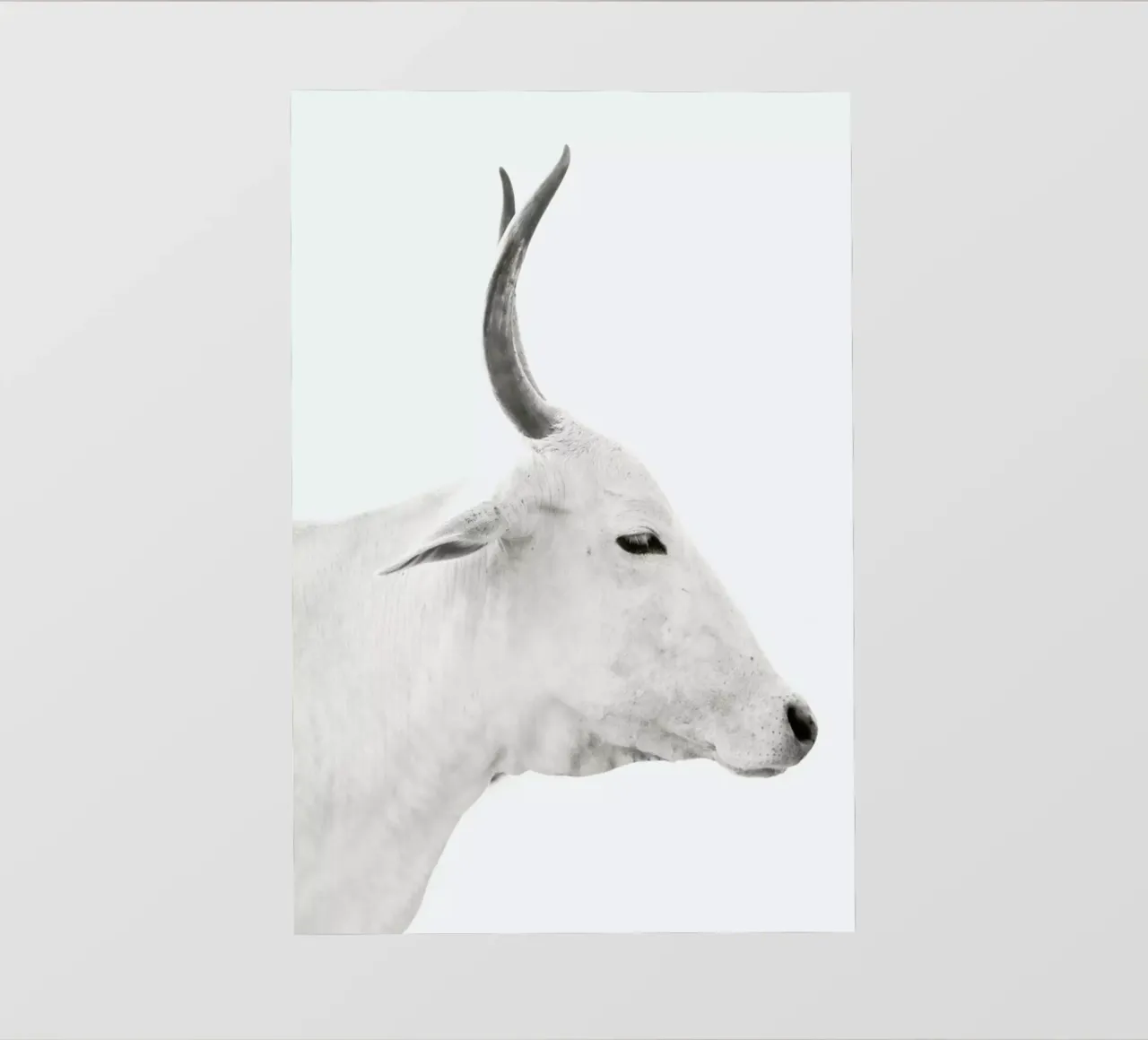 White Cow 2 telo in pvc da Victoria Frost