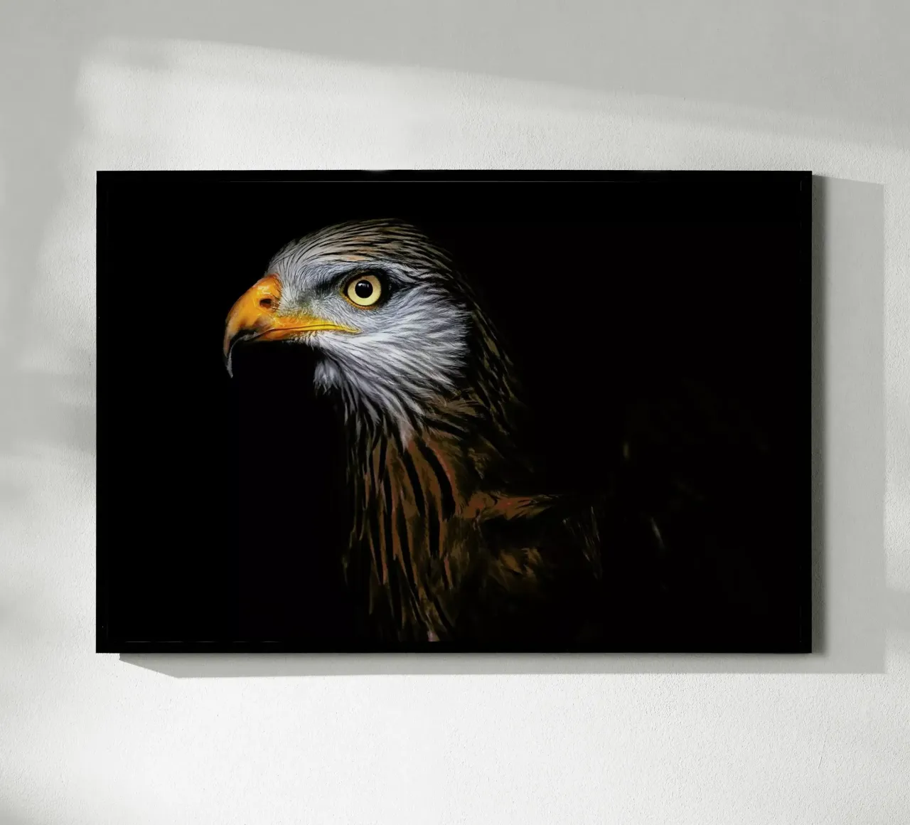 Red Kite Portrait II - Santiago Pascual Buye poster da Pictufy