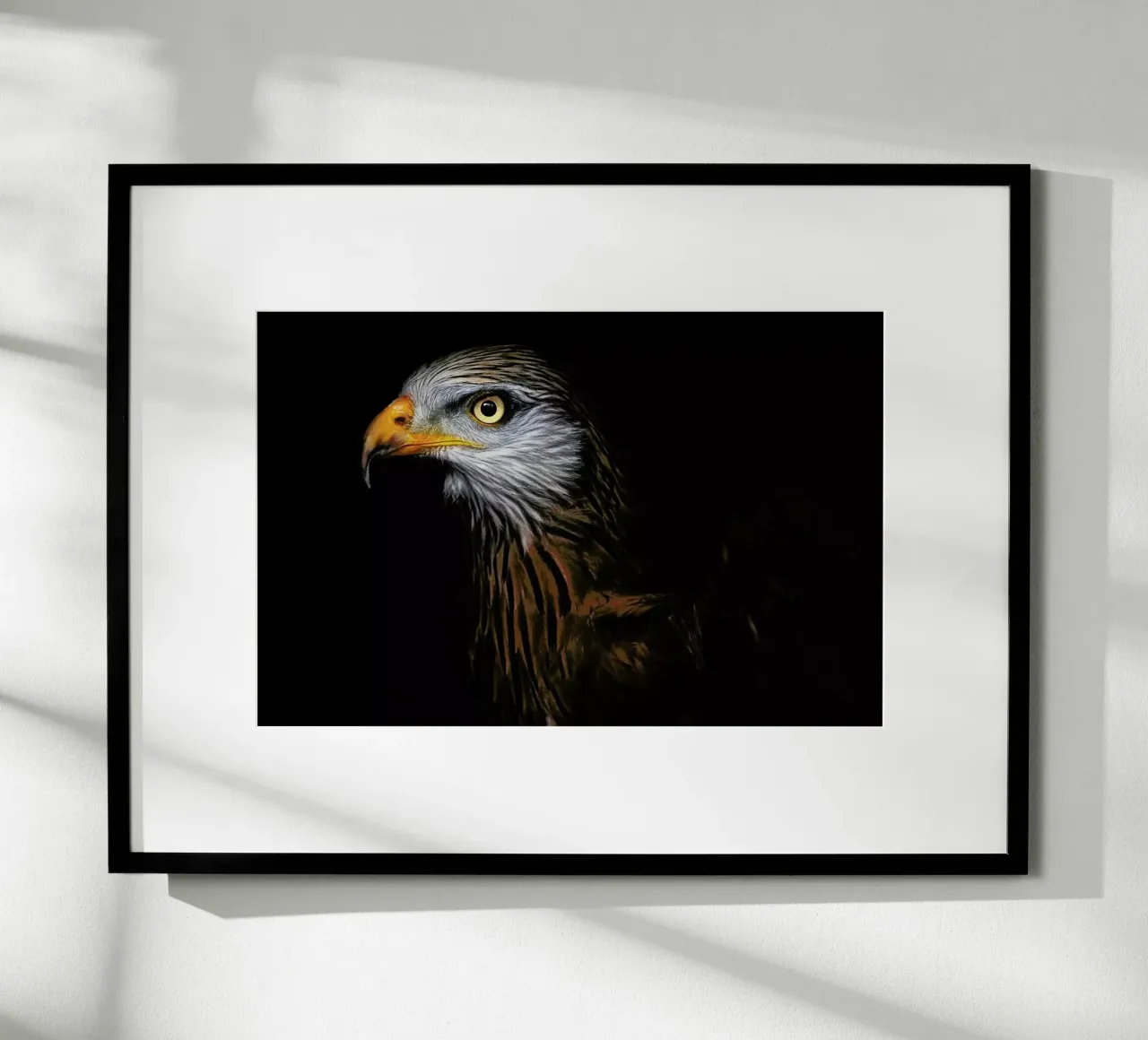 Red Kite Portrait II - Santiago Pascual Buye poster da Pictufy