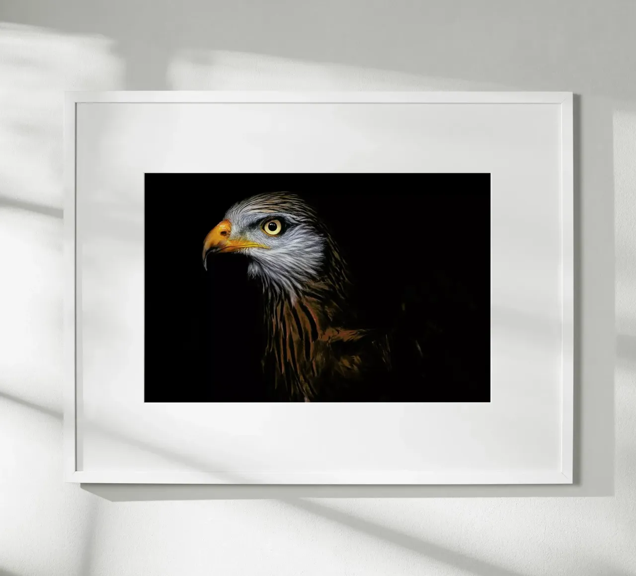 Red Kite Portrait II - Santiago Pascual Buye poster da Pictufy