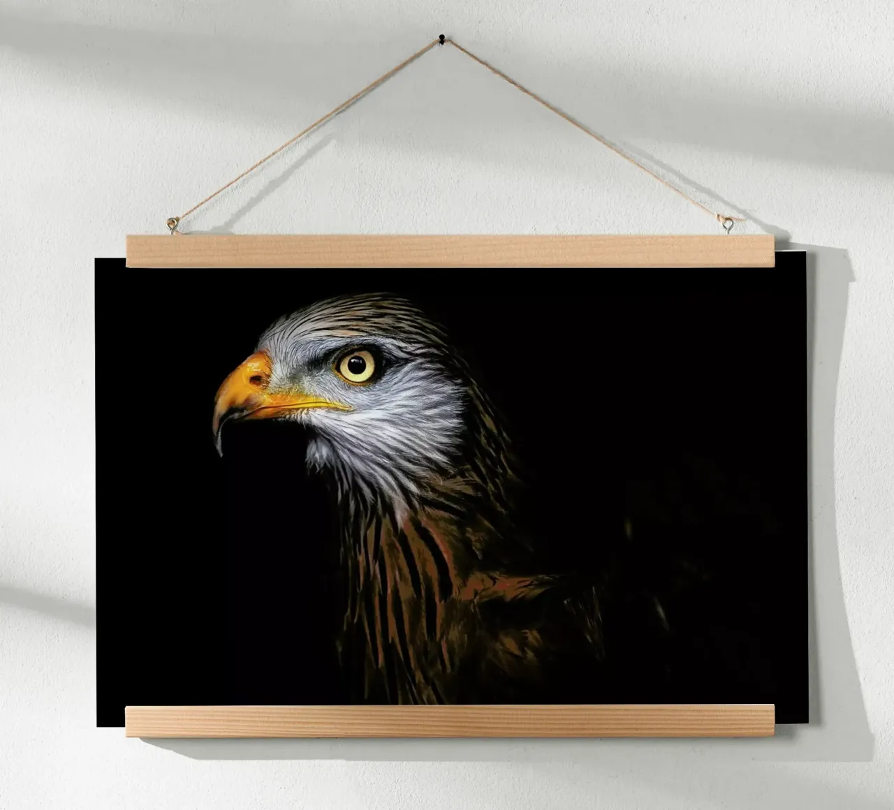 Red Kite Portrait II - Santiago Pascual Buye poster da Pictufy