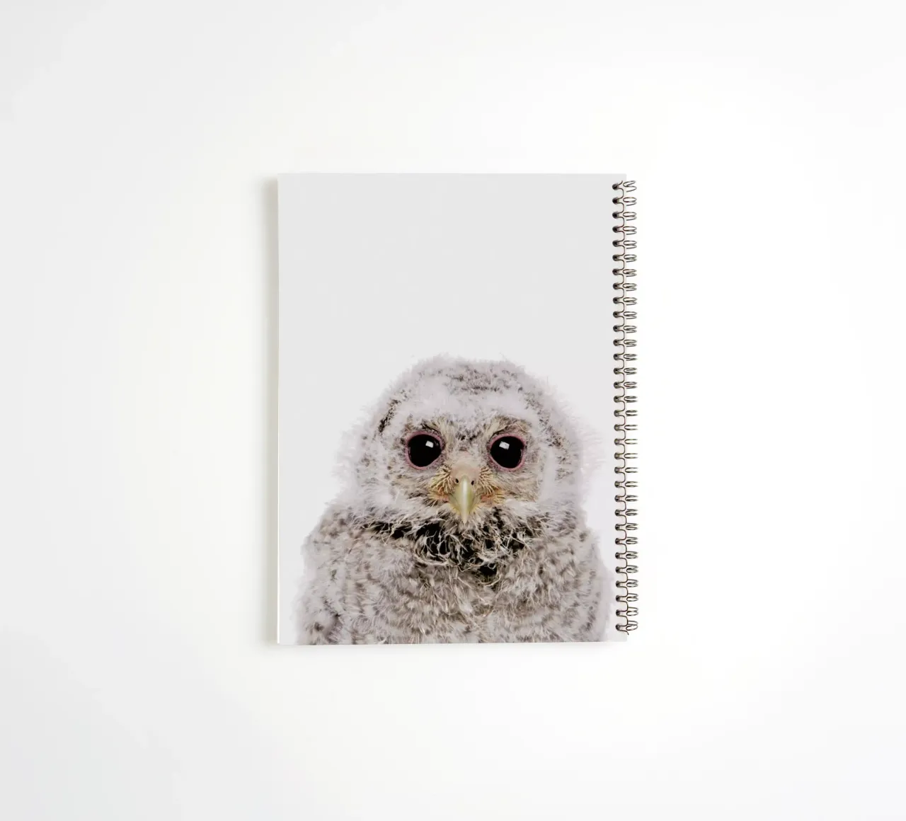Owl III spiral notebook by Paws & Claws