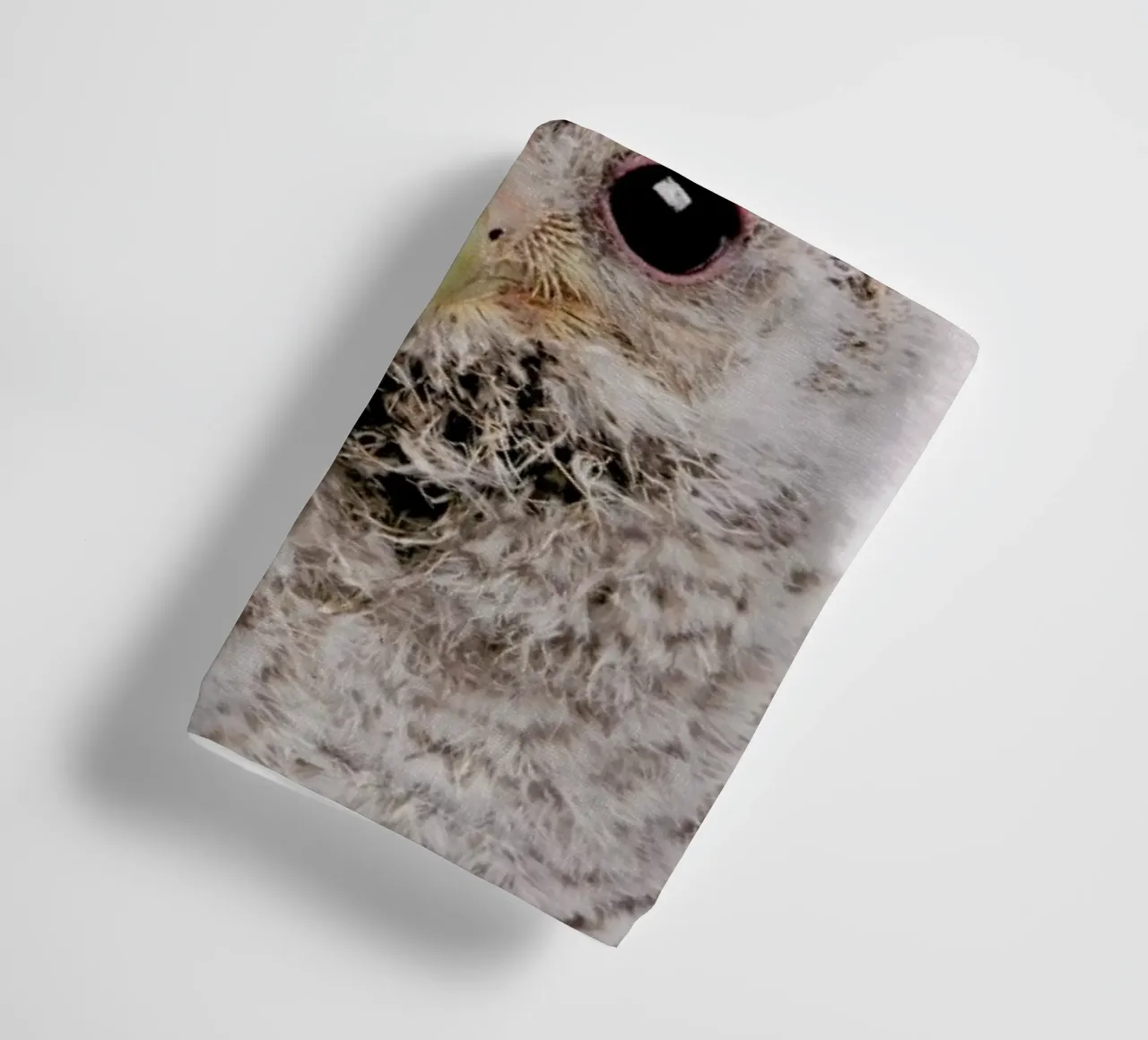 Owl III asciugamano da bagno da Paws & Claws