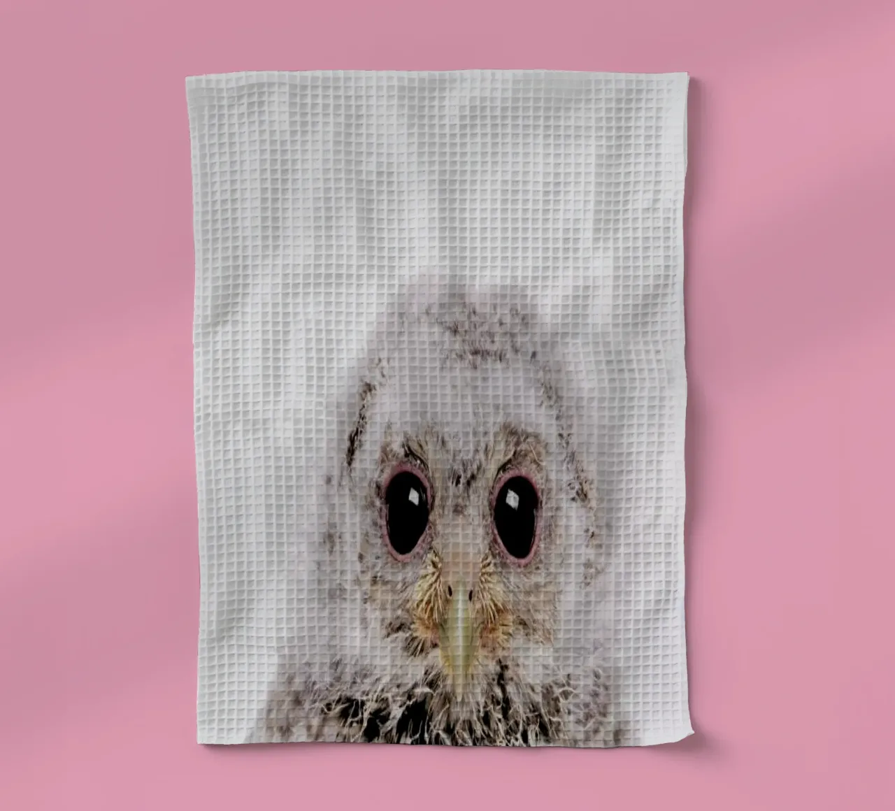 Owl III canovaccio da cucina da Paws & Claws