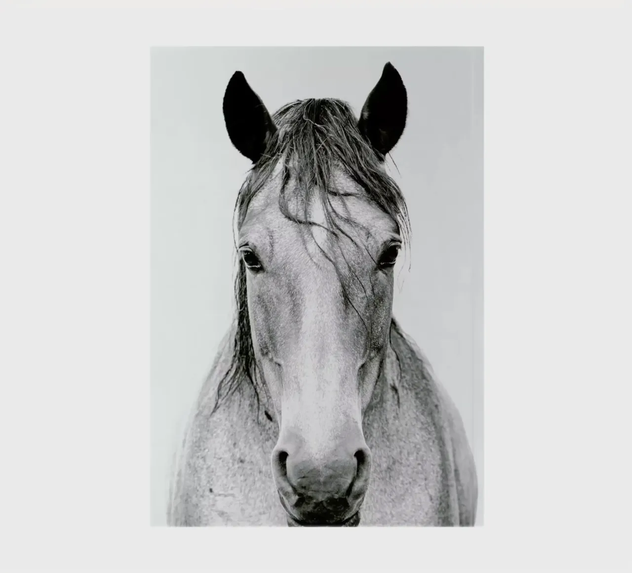 Chestnut Dun Horse II notebook by Victoria Frost