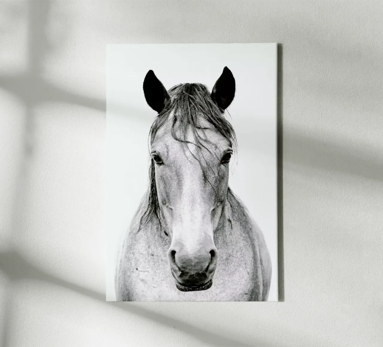 Chestnut Dun Horse II canvas by Victoria Frost