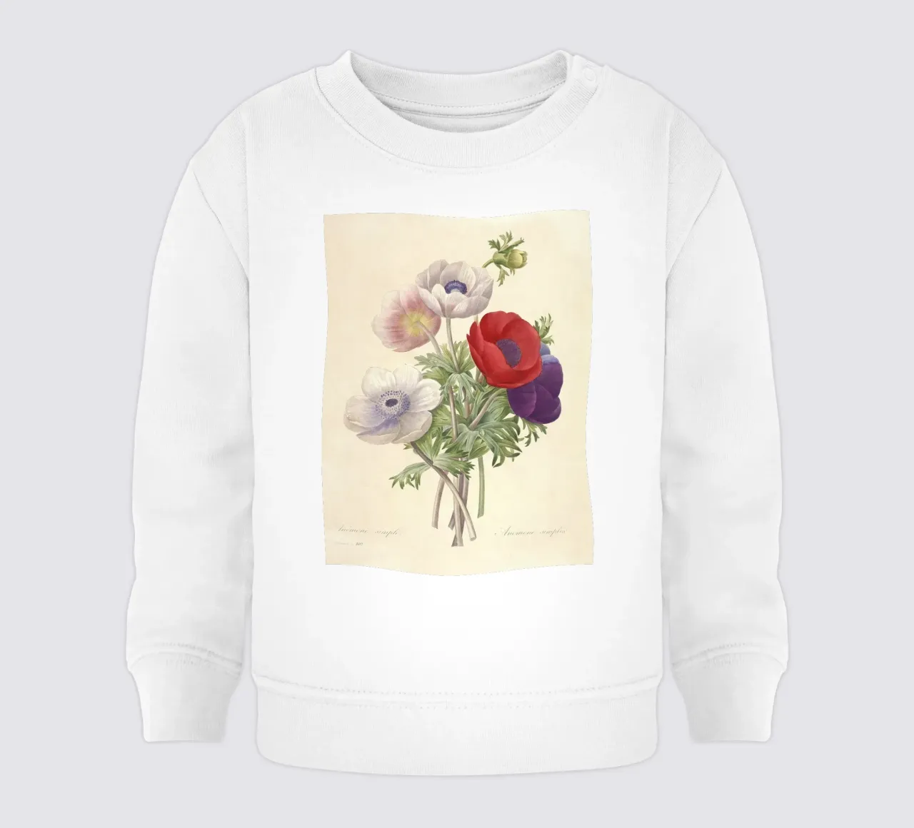 Fiori di anemone classici di primavera felpa neonato da Timeless Botanica