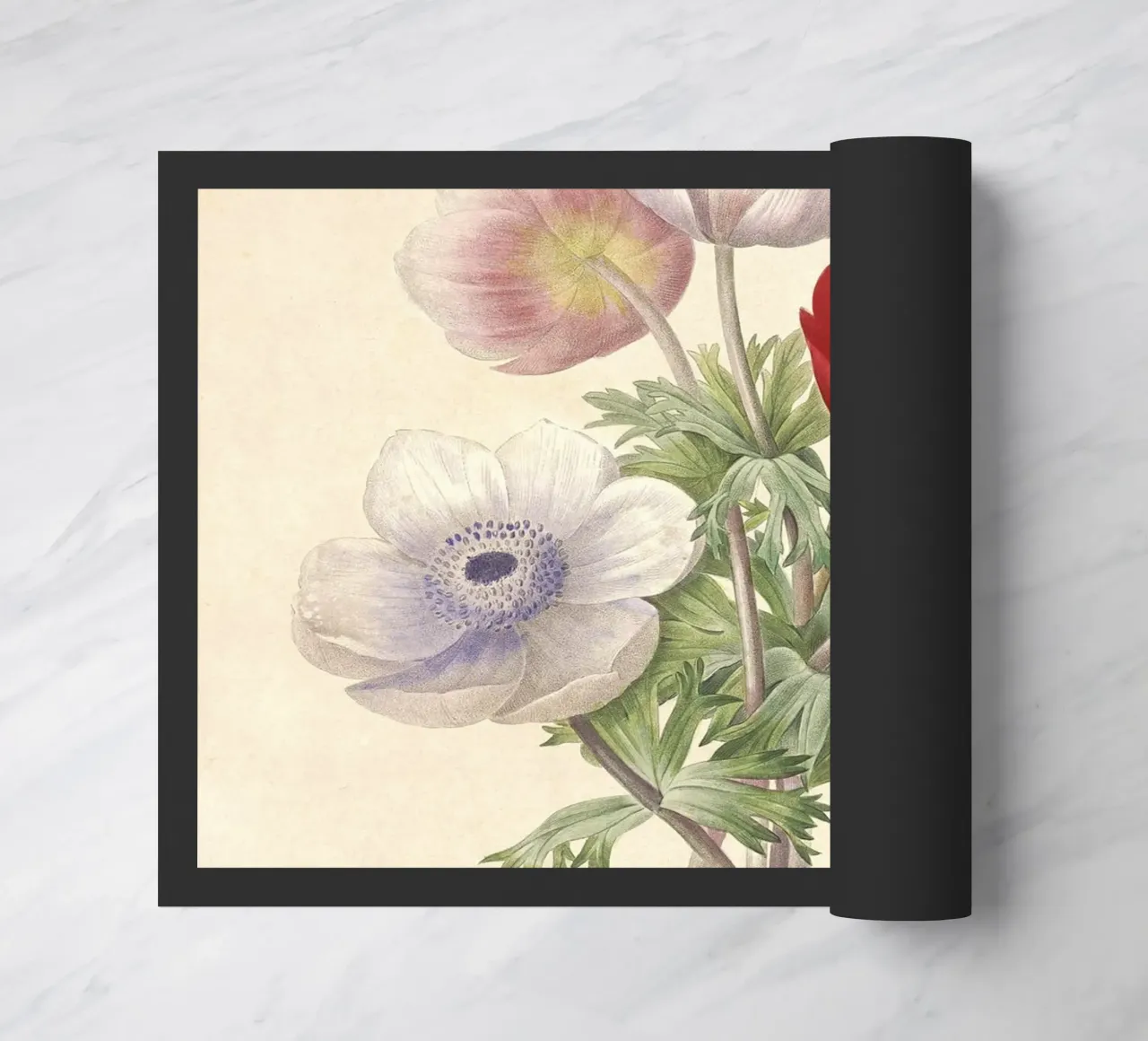 Fiori di anemone classici di primavera zerbino da Timeless Botanica