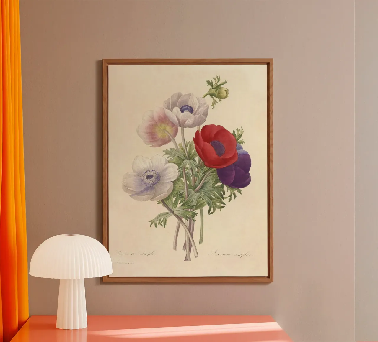 Fiori di anemone classici di primavera alluminio dibond da Timeless Botanica
