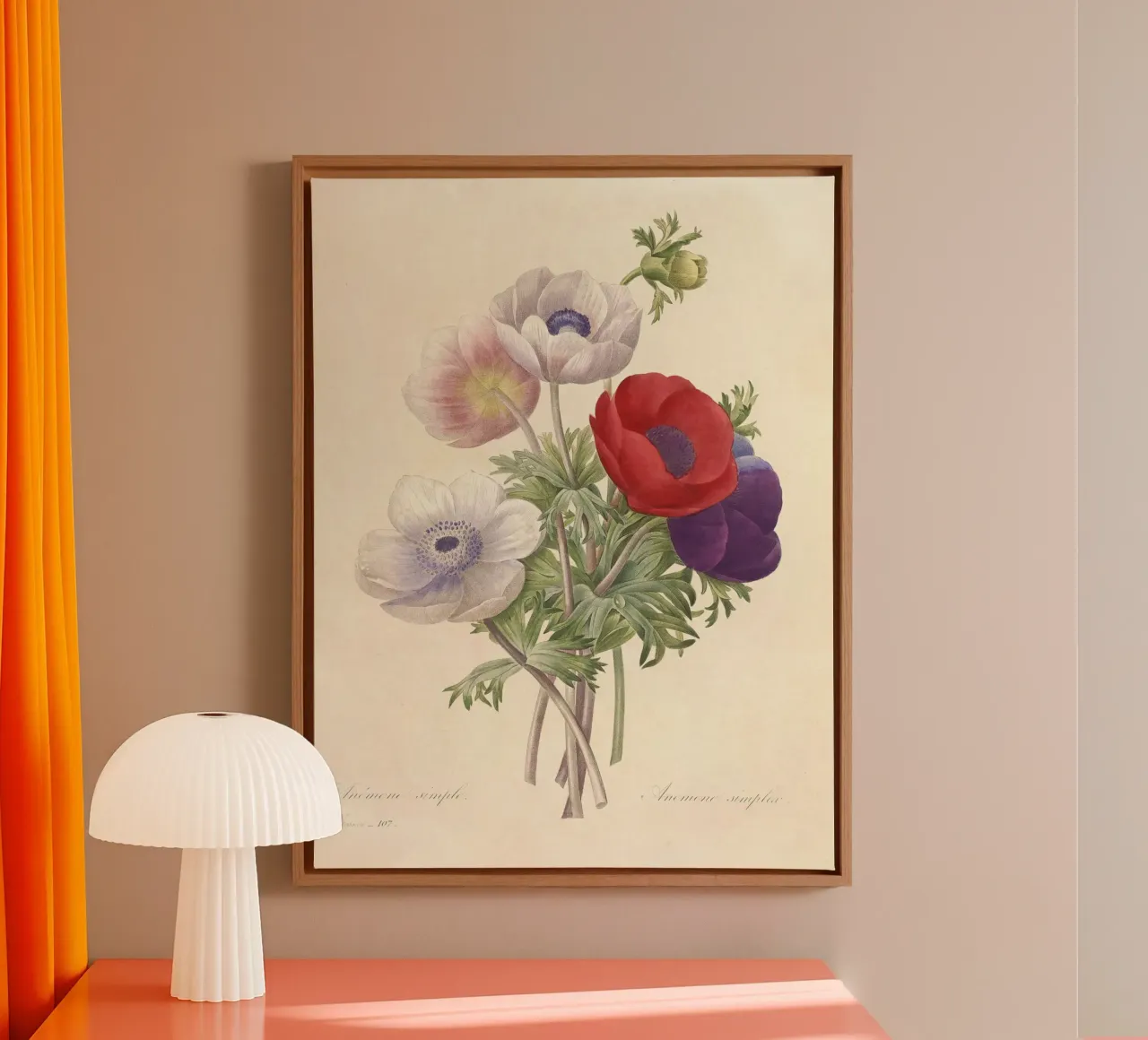 Fiori di anemone classici di primavera tela con Cornice a cassetta da Timeless Botanica