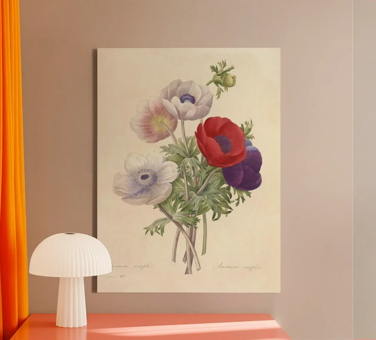 Fiori di anemone classici di primavera tela con Cornice a cassetta da Timeless Botanica