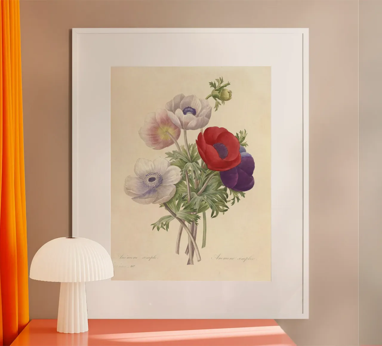 Fiori di anemone classici di primavera carta hahnemühle da Timeless Botanica