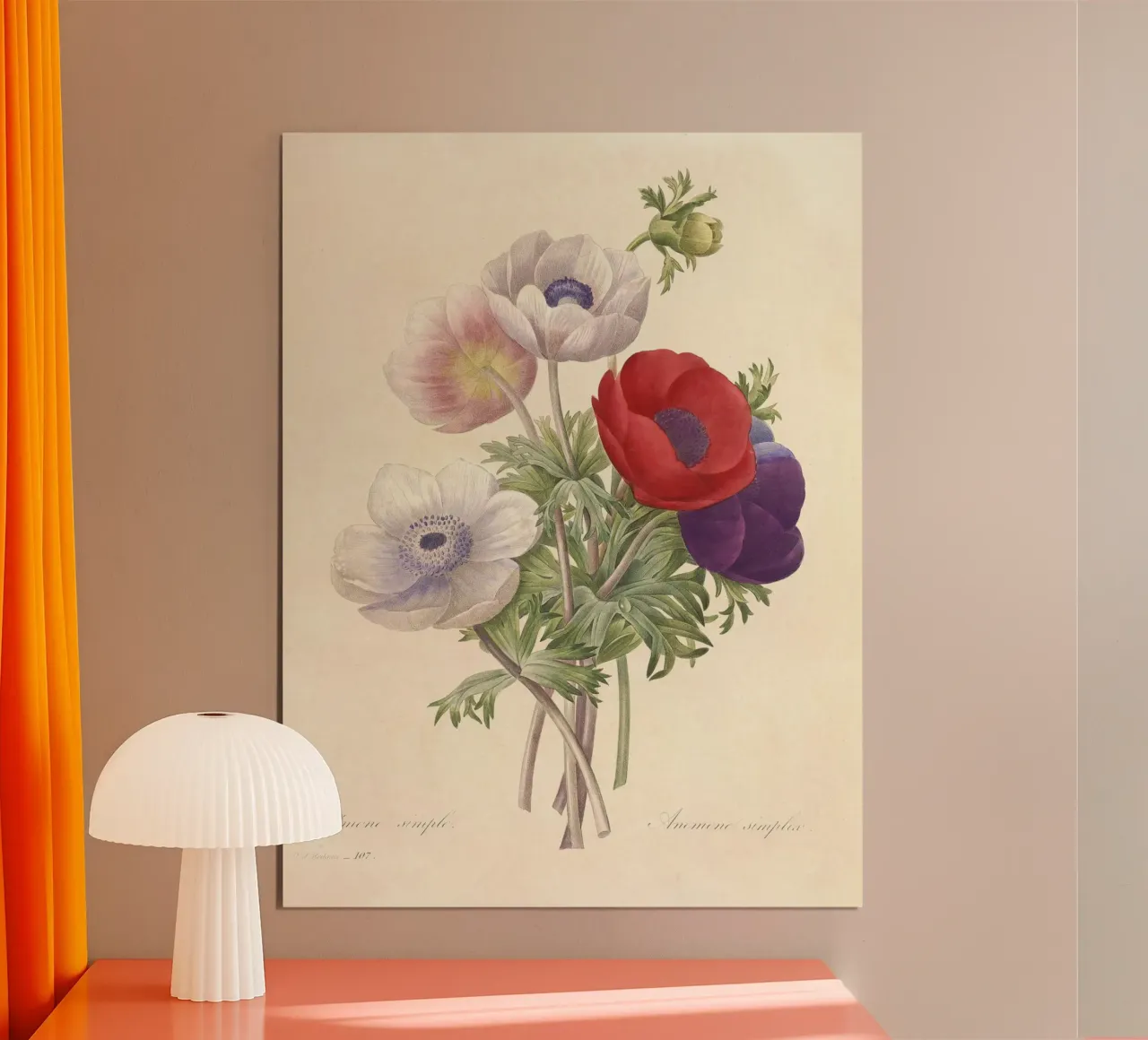 Fiori di anemone classici di primavera carta hahnemühle da Timeless Botanica