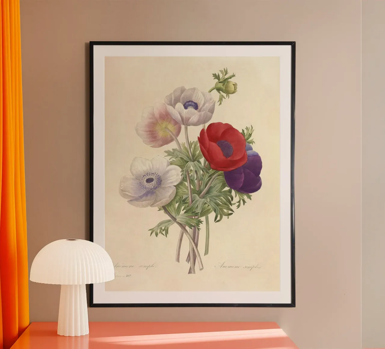 Fiori di anemone classici di primavera carta hahnemühle da Timeless Botanica