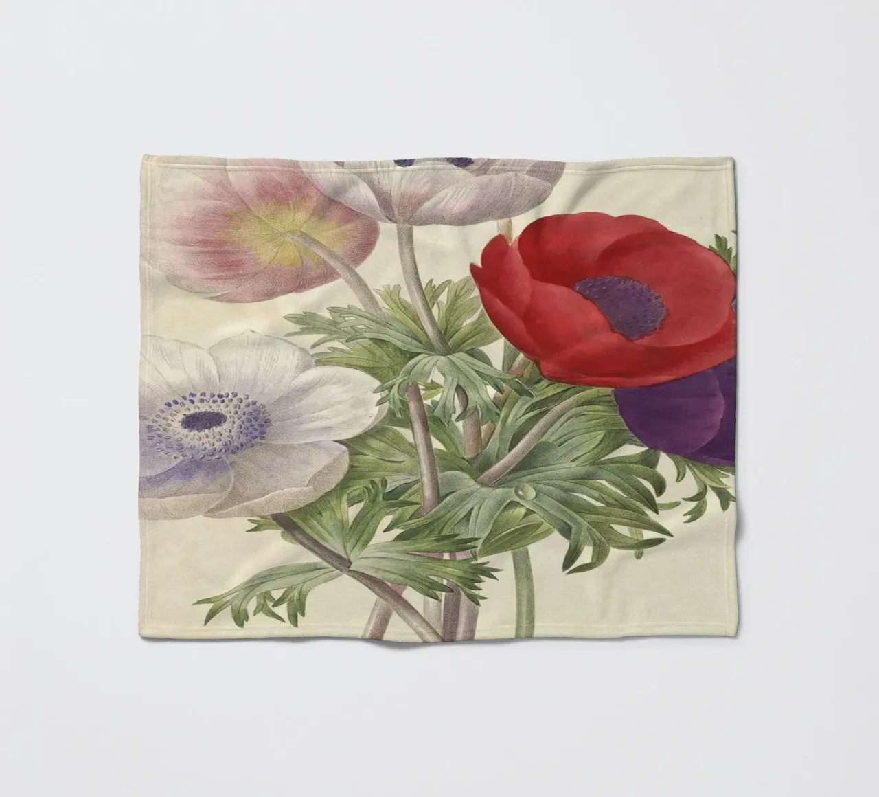 Fiori di anemone classici di primavera coperta in pile da Timeless Botanica