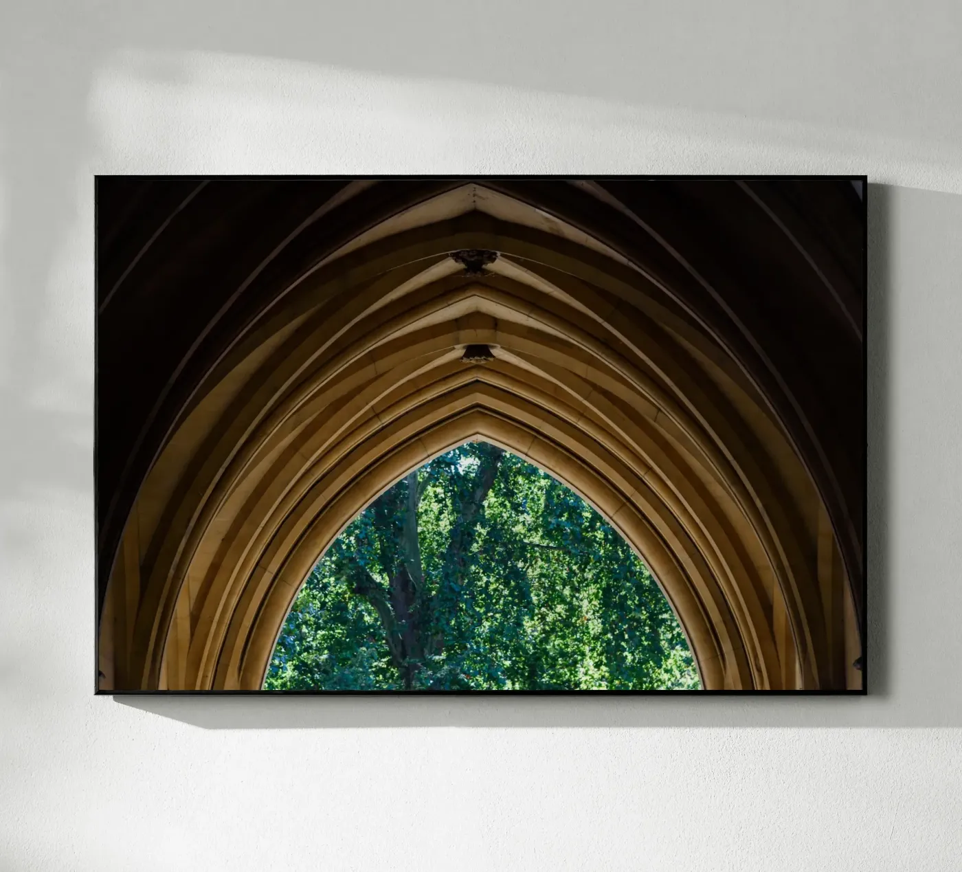 cultrale 4 plexiglass da Bttn