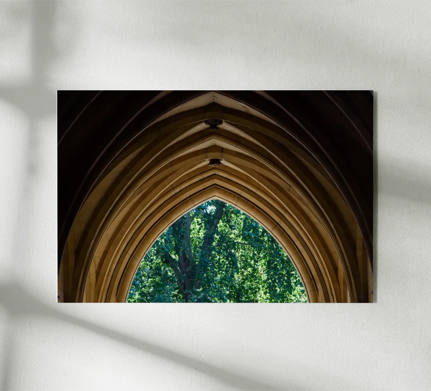 cultrale 4 plexiglass da Bttn