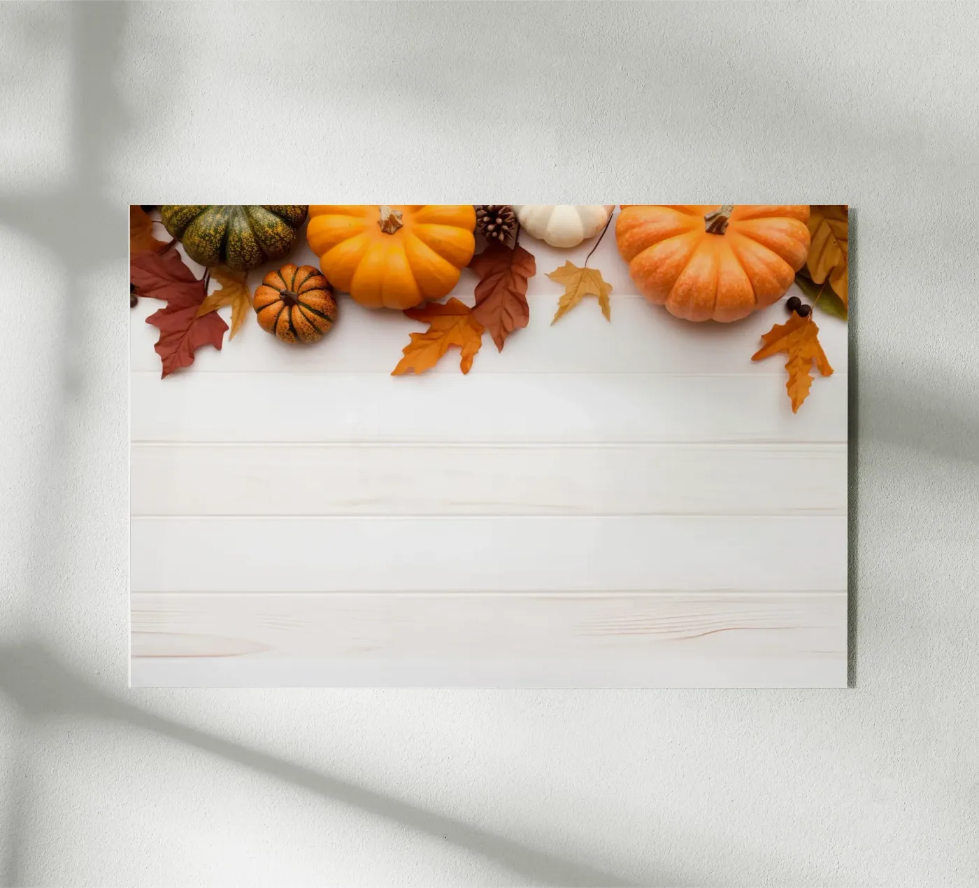 cultral 11 plexiglass da Bttn