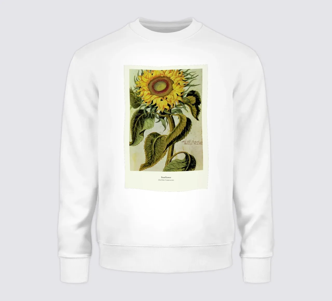 Joachim Camerarius - Sunflower felpa da ARTOTHEK
