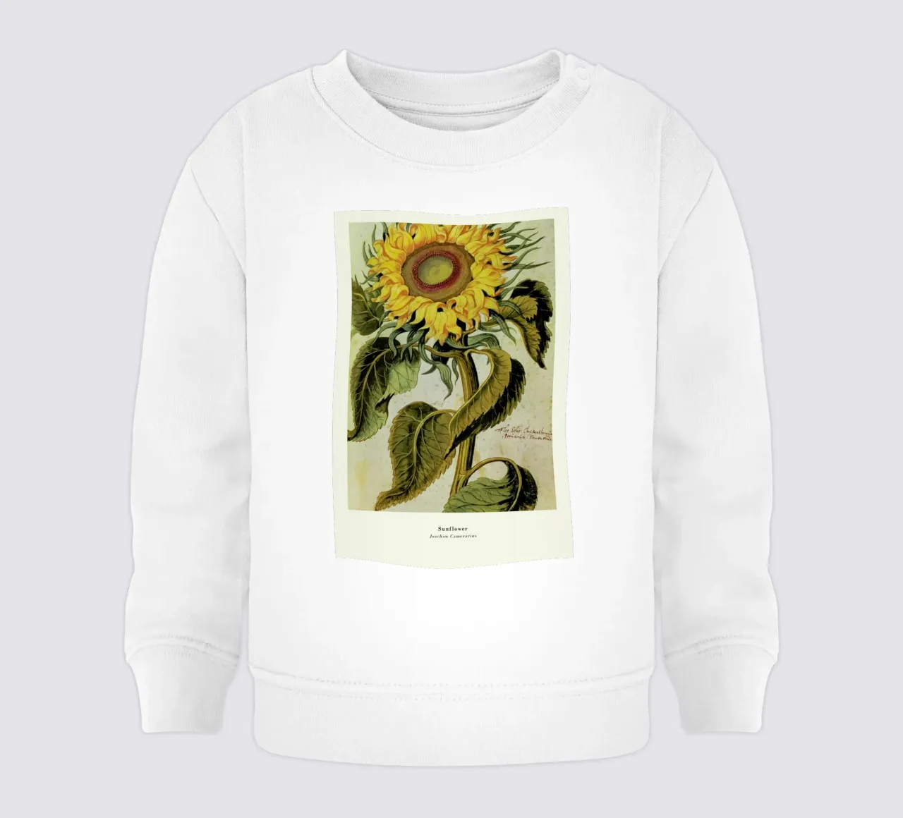 Joachim Camerarius - Sunflower felpa neonato da ARTOTHEK