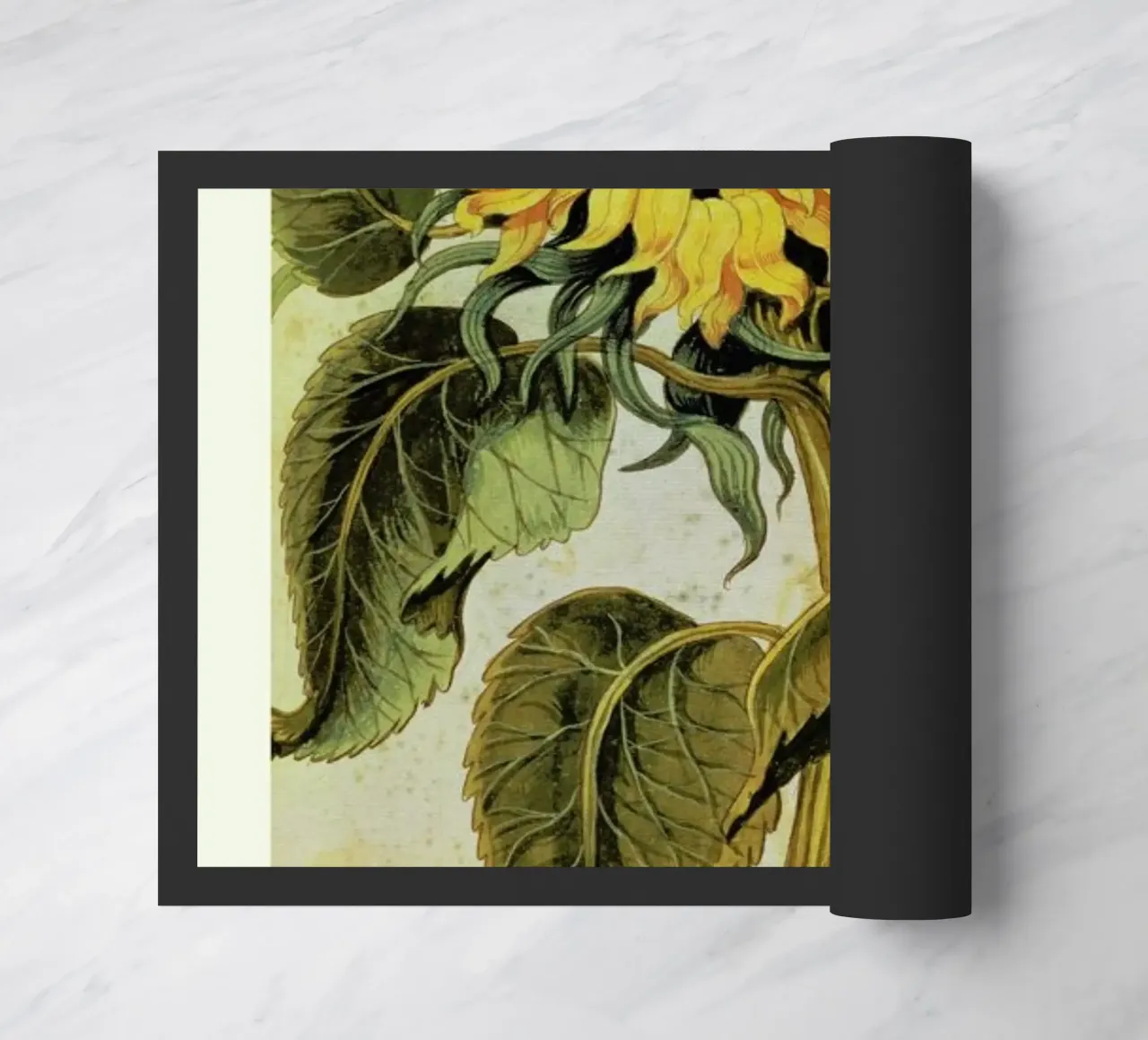 Joachim Camerarius - Sunflower zerbino da ARTOTHEK