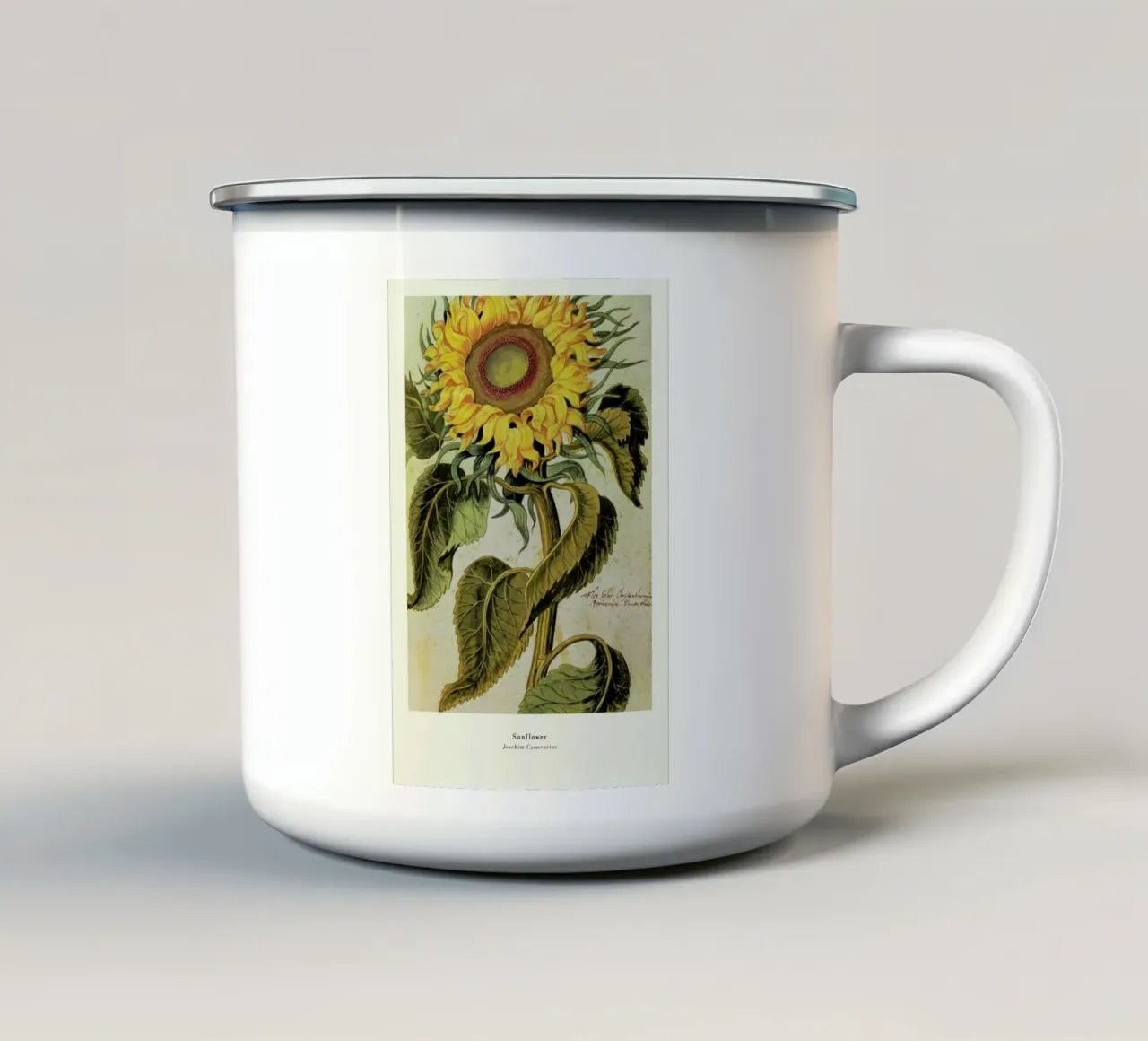 Joachim Camerarius - Sunflower tazza in smalto da ARTOTHEK