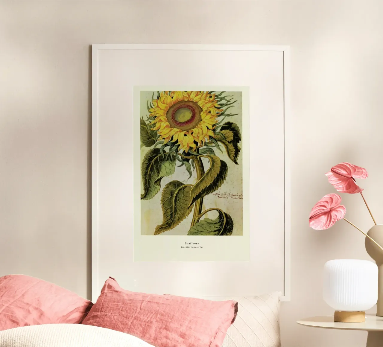 Joachim Camerarius - Sunflower poster con telaio in legno da ARTOTHEK