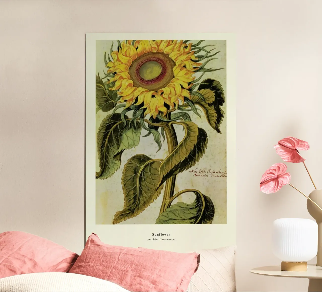 Joachim Camerarius - Sunflower poster con telaio in legno da ARTOTHEK