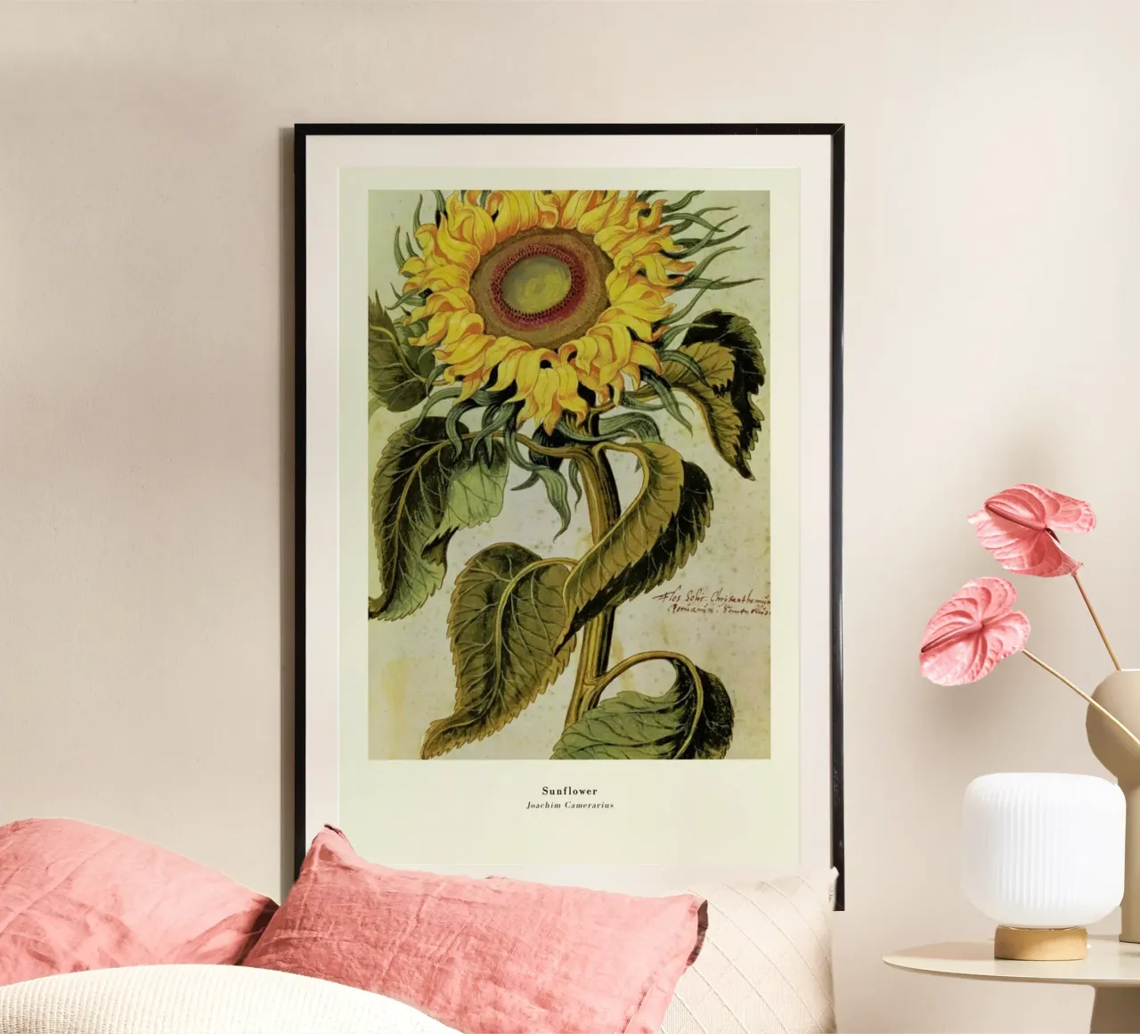 Joachim Camerarius - Sunflower poster con telaio in legno da ARTOTHEK