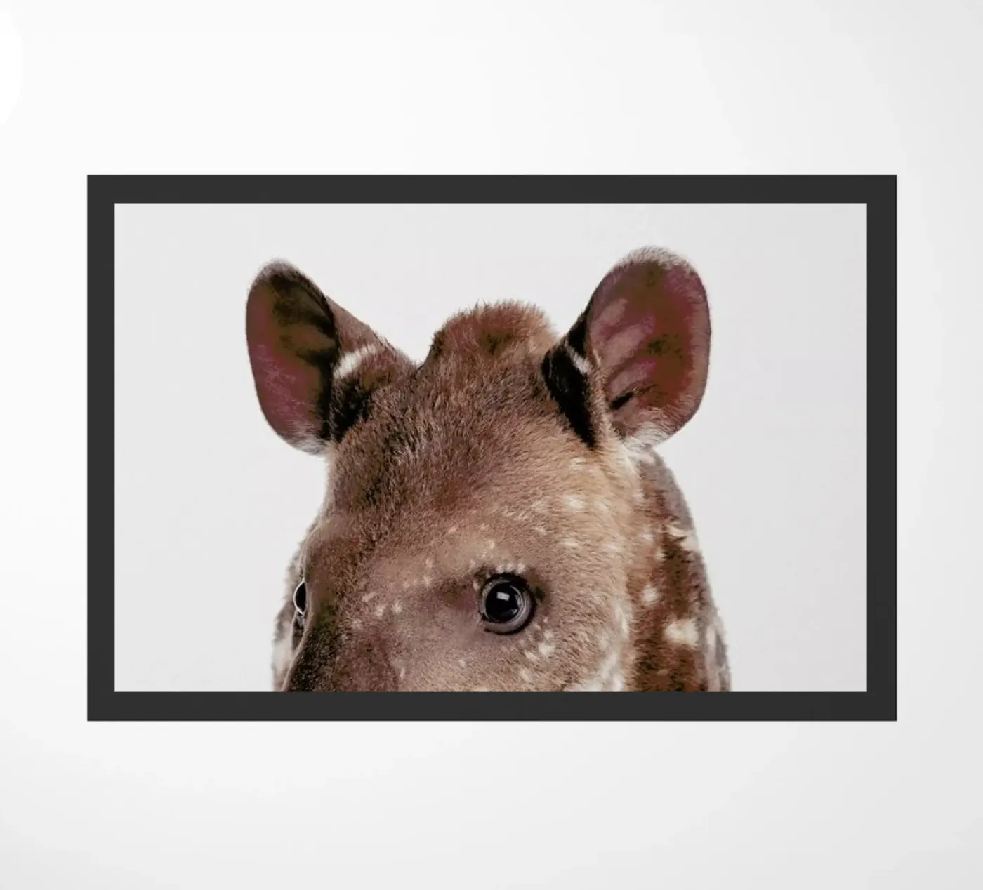 Tapir deurmat van Paws & Claws