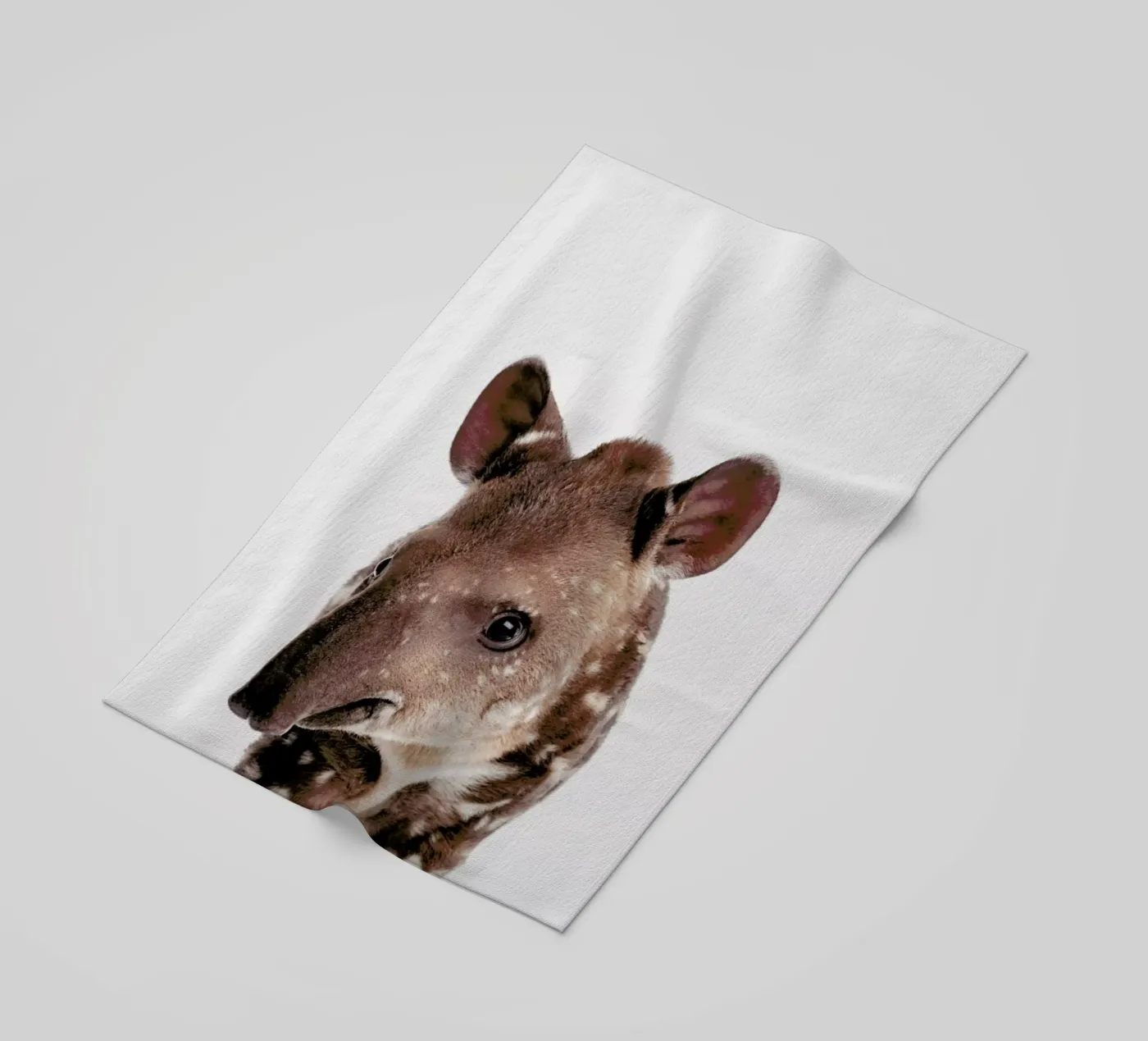 Tapir telo mare da Paws & Claws