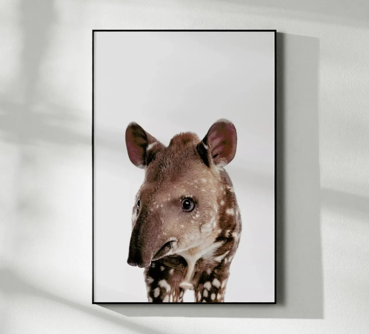 Tapir plexiglass da Paws & Claws