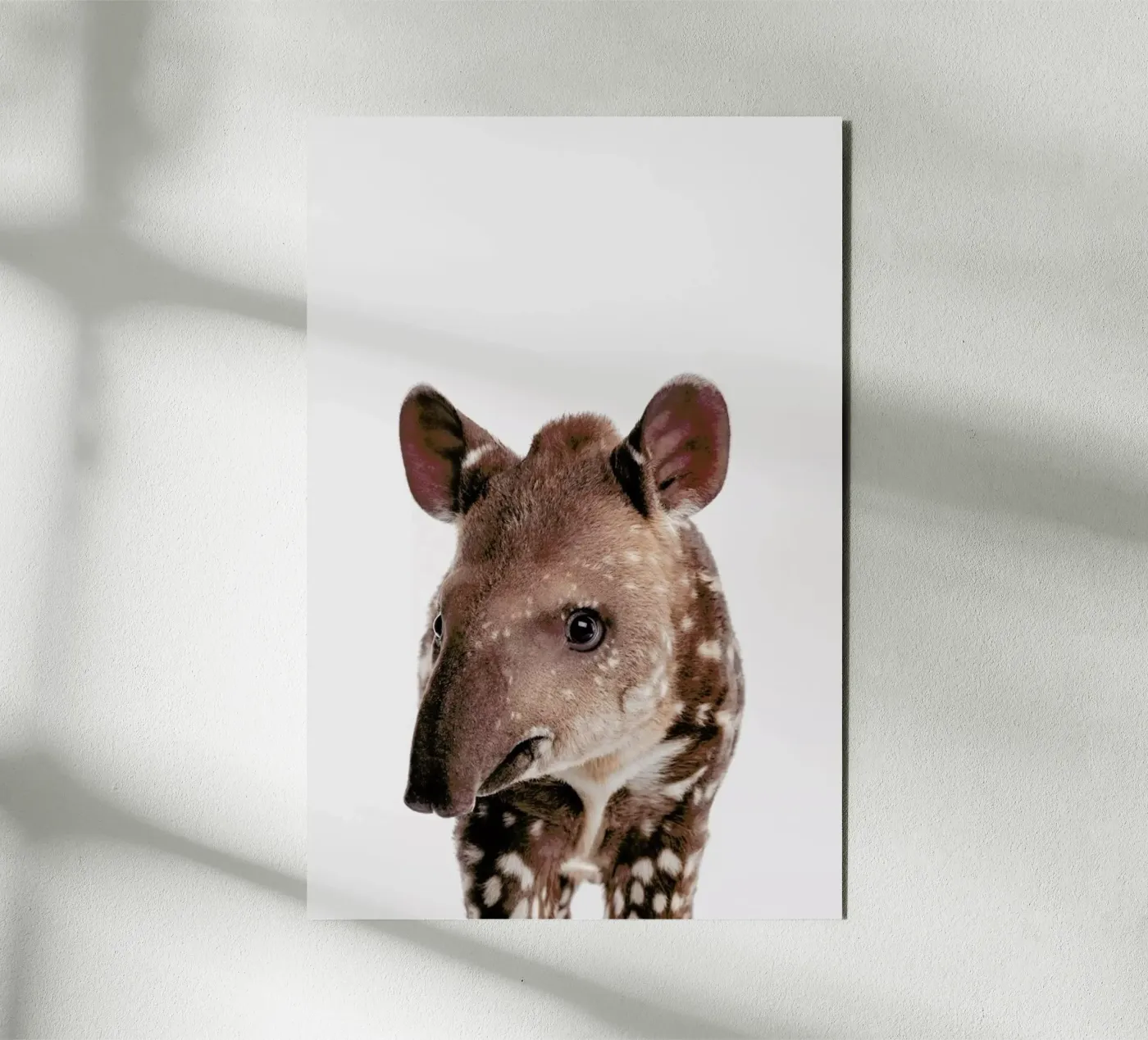 Tapir forex plate by Paws & Claws