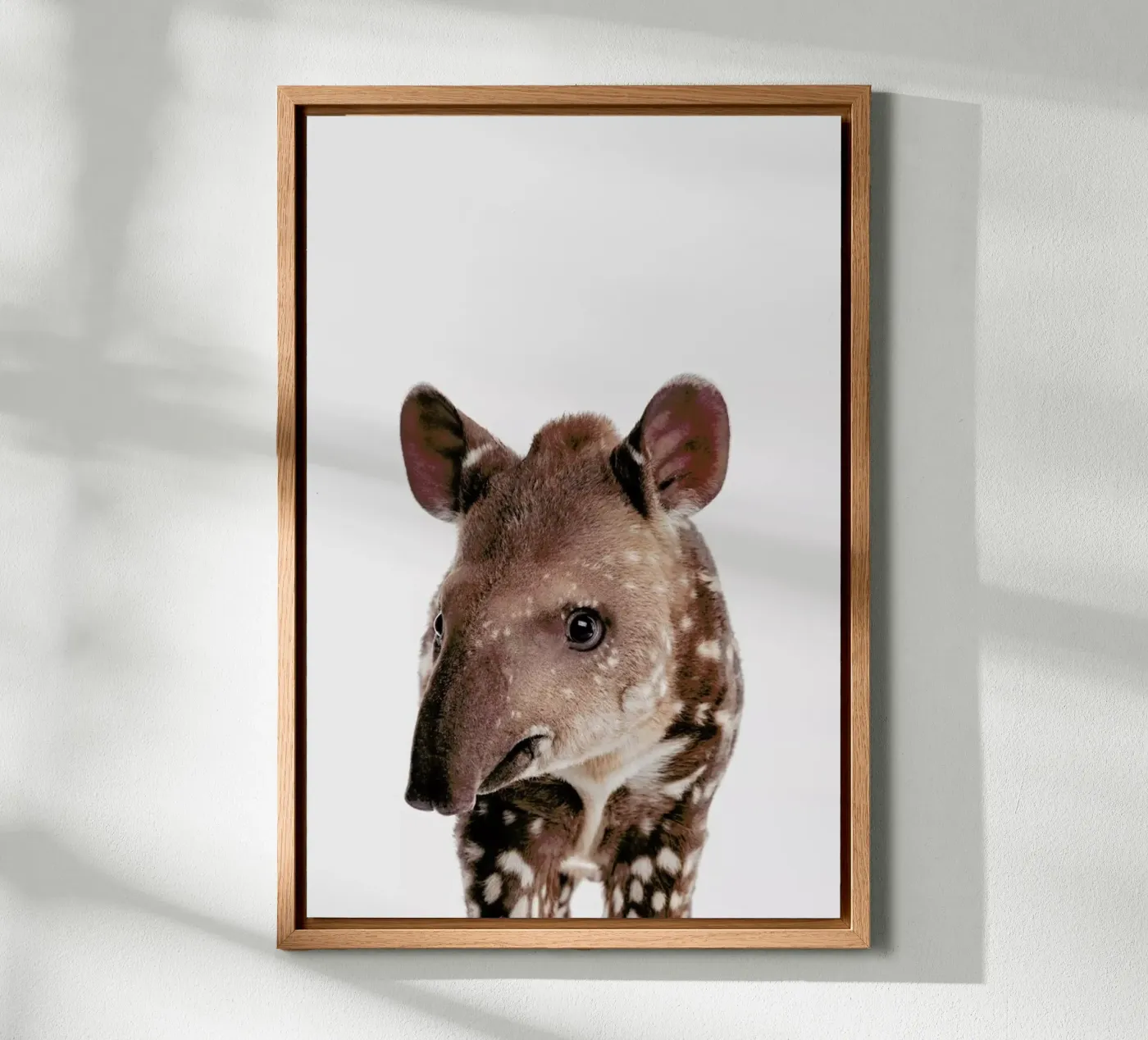 Tapir canvas by Paws & Claws