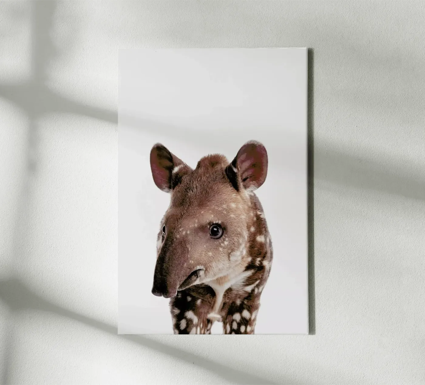 Tapir canvas by Paws & Claws