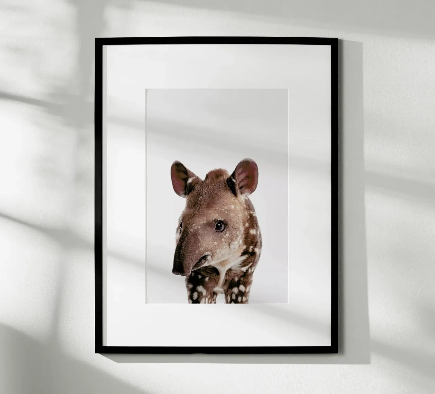 Tapir poster by Paws & Claws
