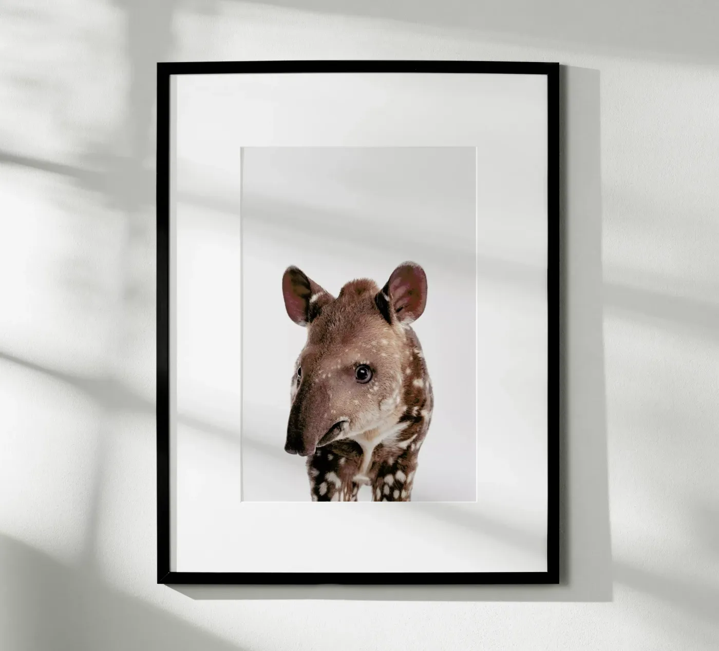 Tapir poster van Paws & Claws
