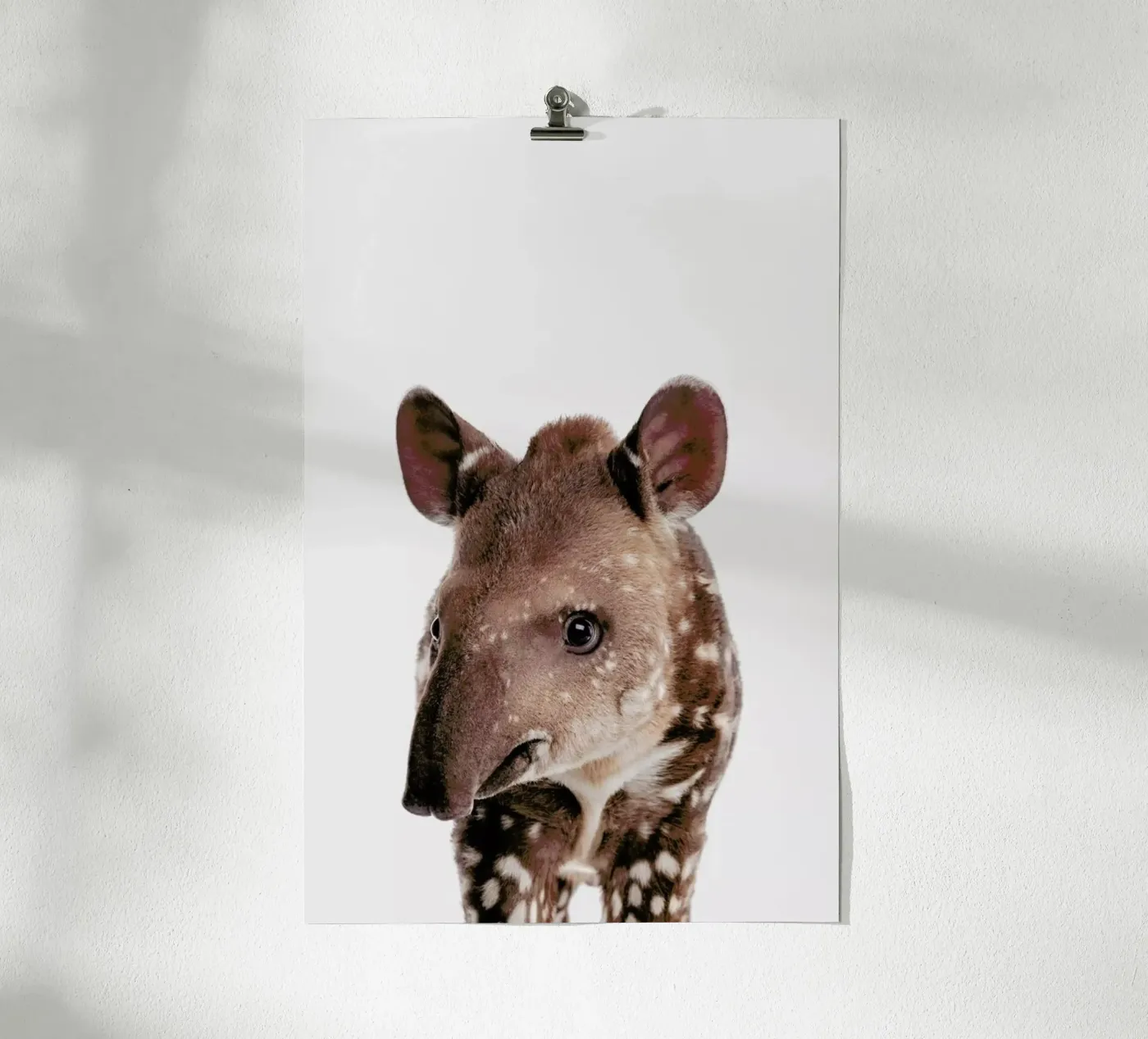 Tapir poster by Paws & Claws
