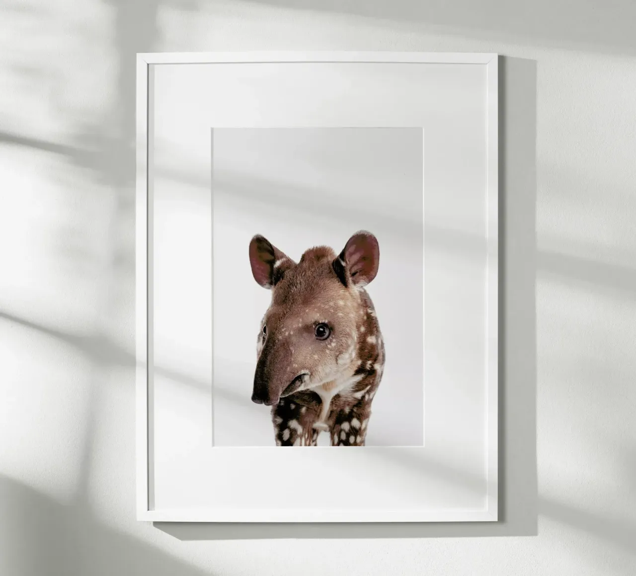 Tapir poster da Paws & Claws