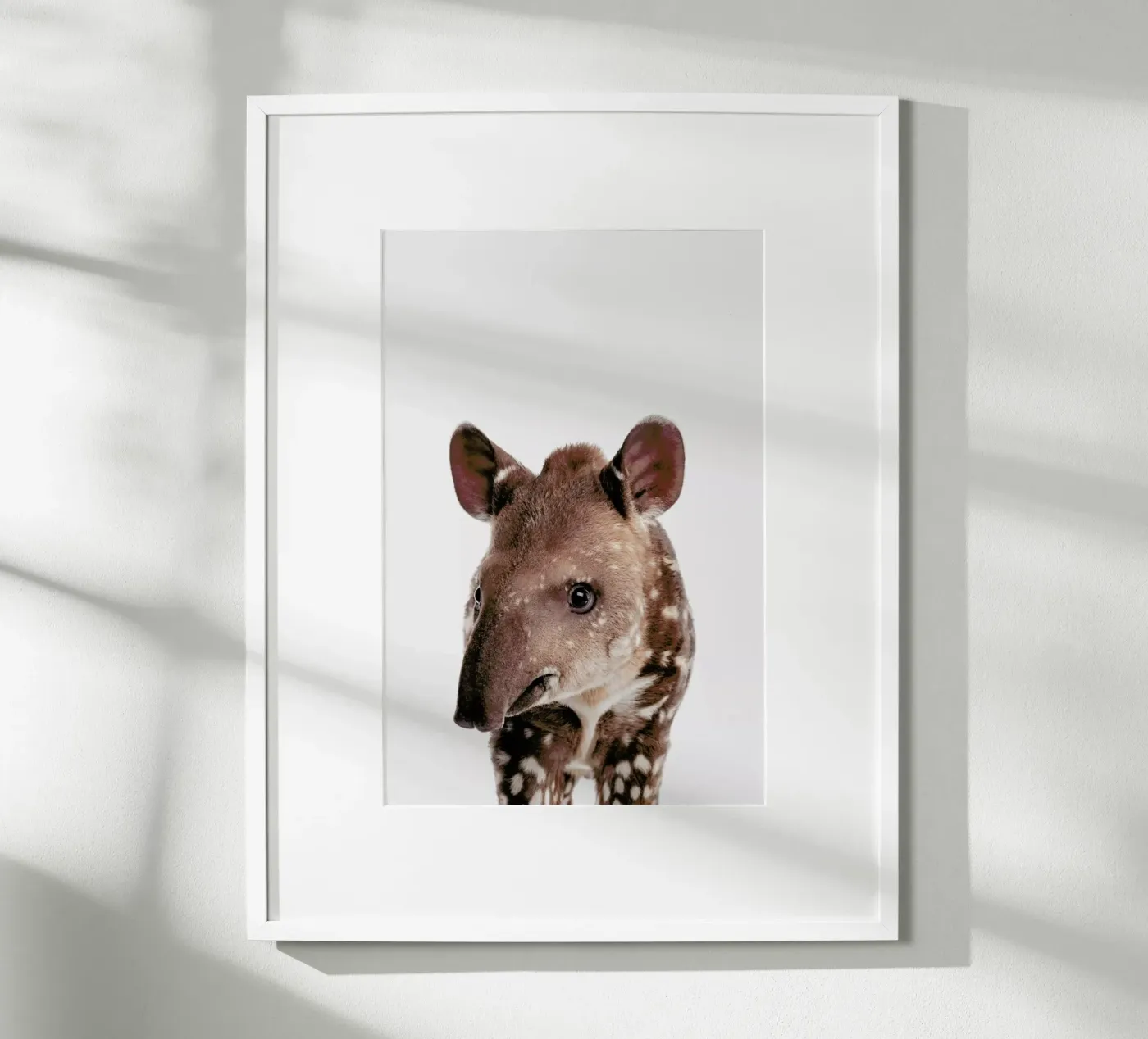Tapir poster by Paws & Claws