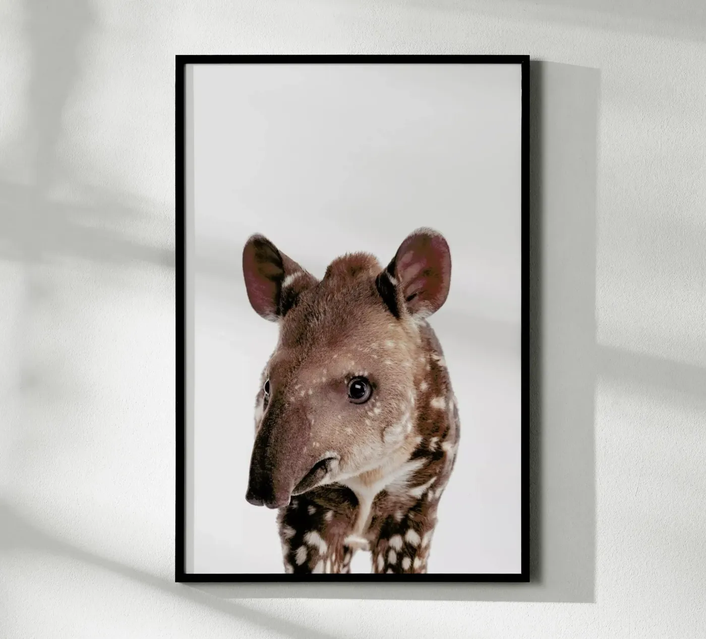 Tapir poster by Paws & Claws