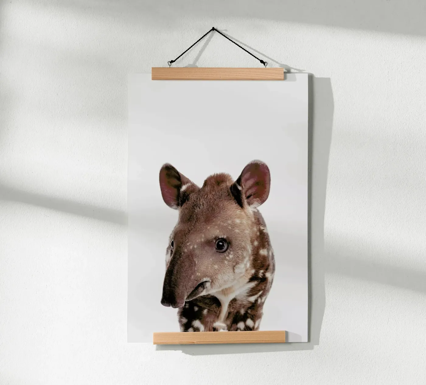 Tapir poster by Paws & Claws
