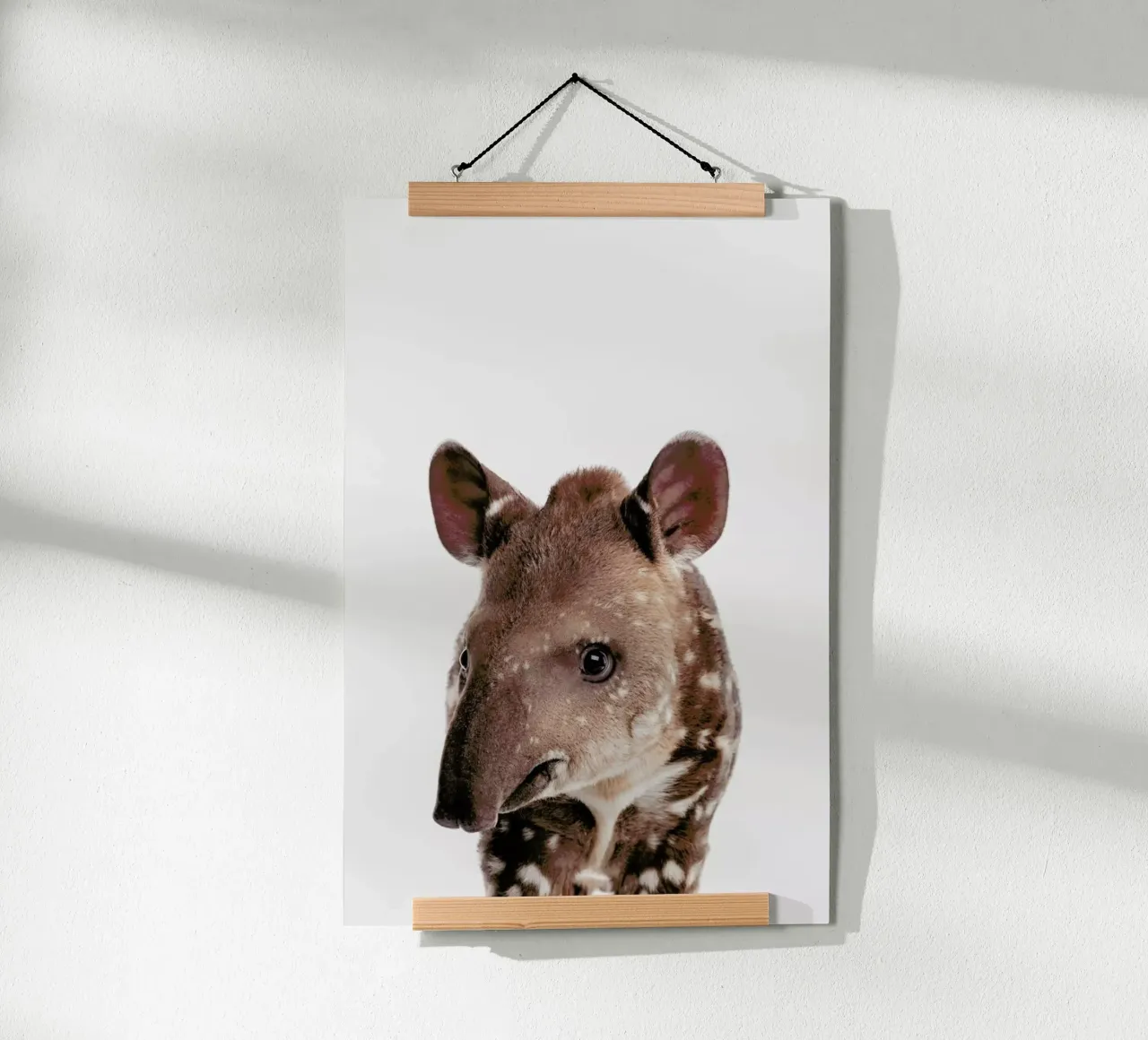 Tapir poster da Paws & Claws