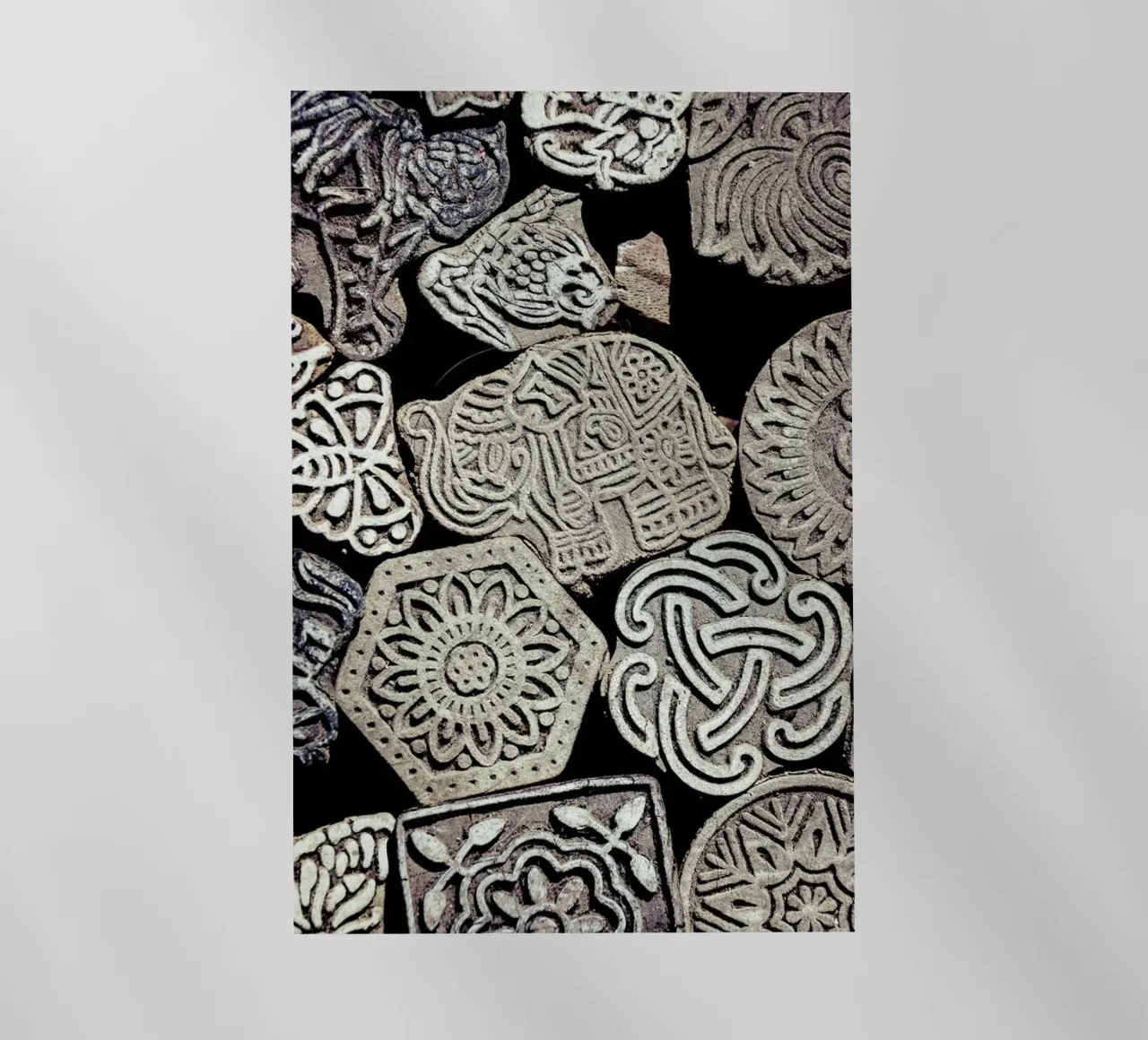 Elephant pellicola backlit da Victoria Frost