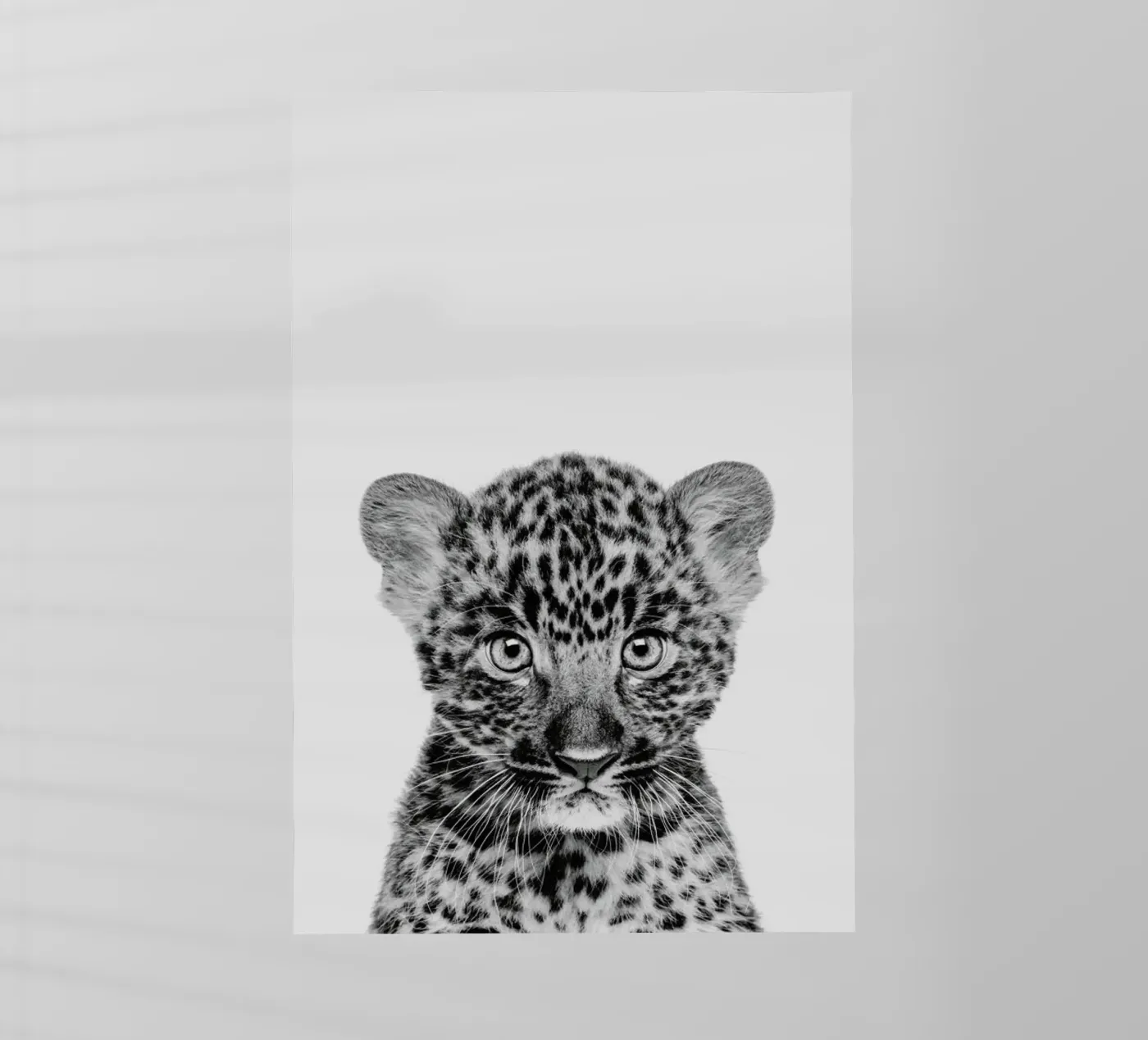 Leopard Classic Backlit Folie von Paws & Claws
