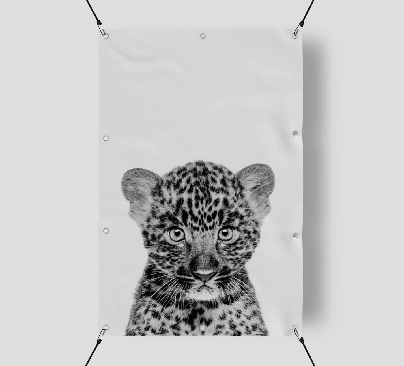 Leopard Classic PVC Plane von Paws & Claws